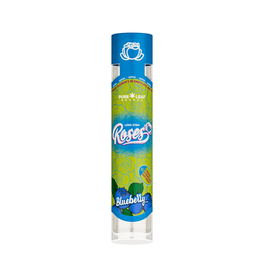 BLUEBERRY Roses Long Stem Hybrid 1G | Liquid Diamond Infused