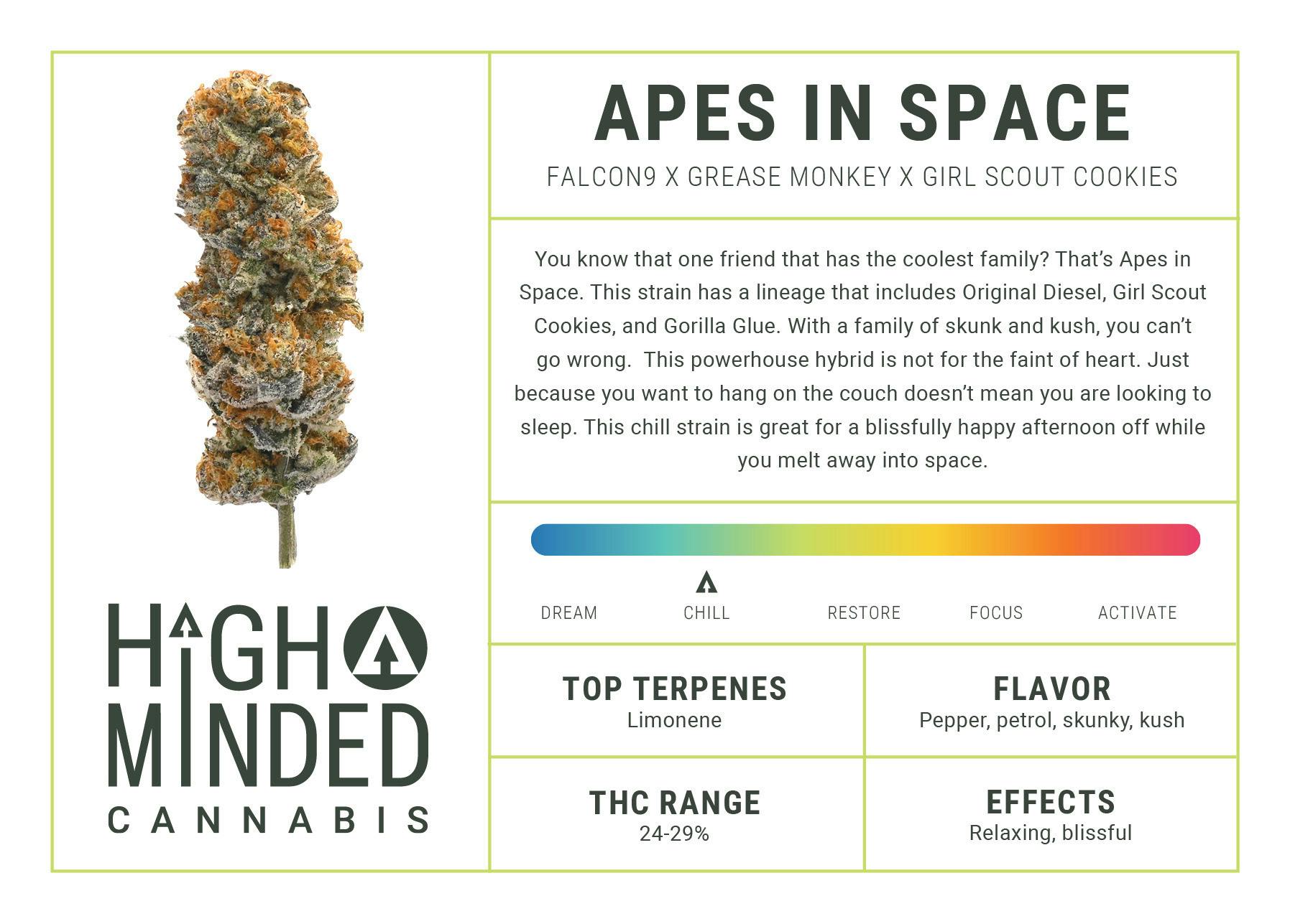 Apes In Space