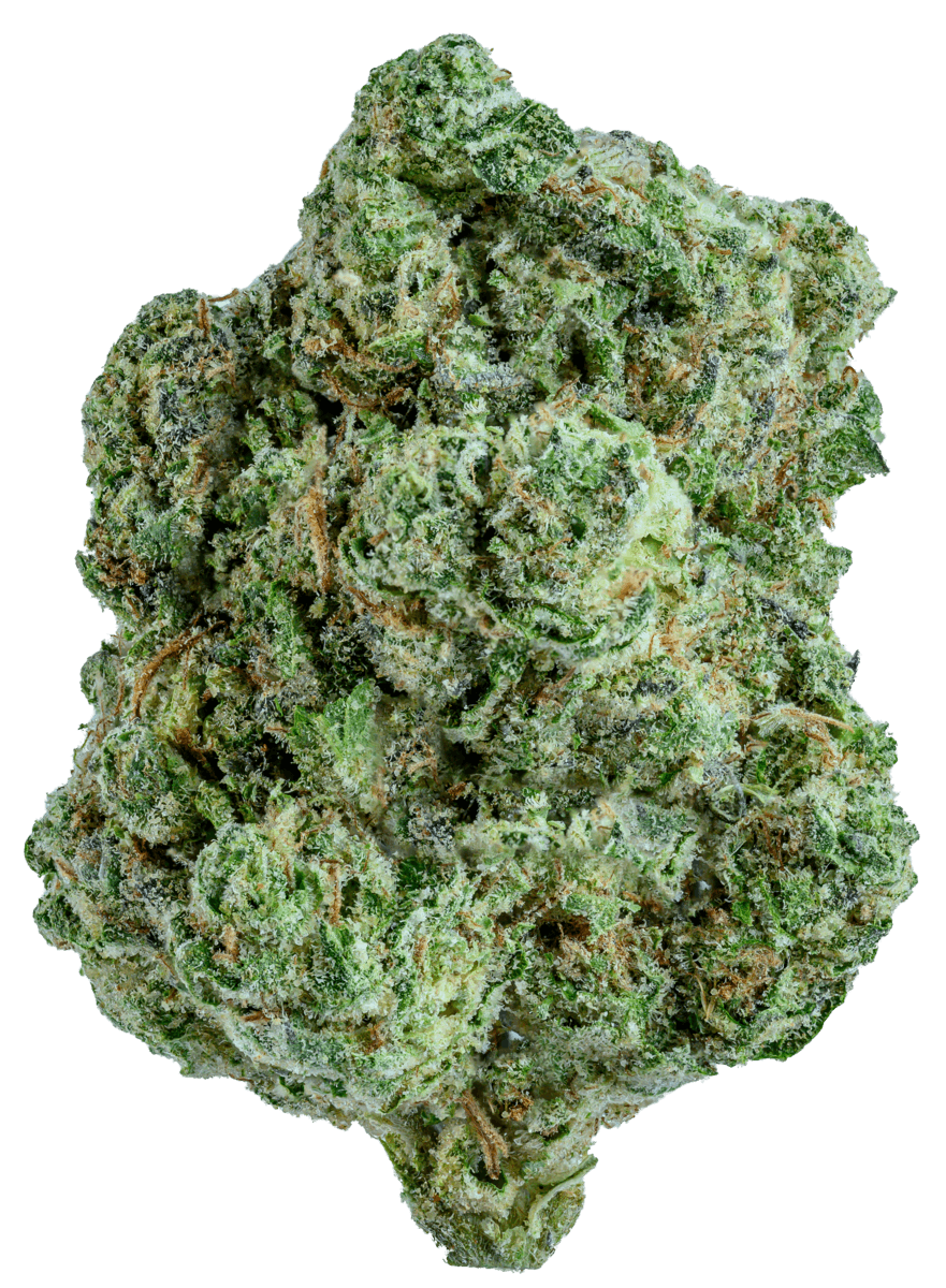GOLD STANDARD | ASTRO MINTZ | 3.5G