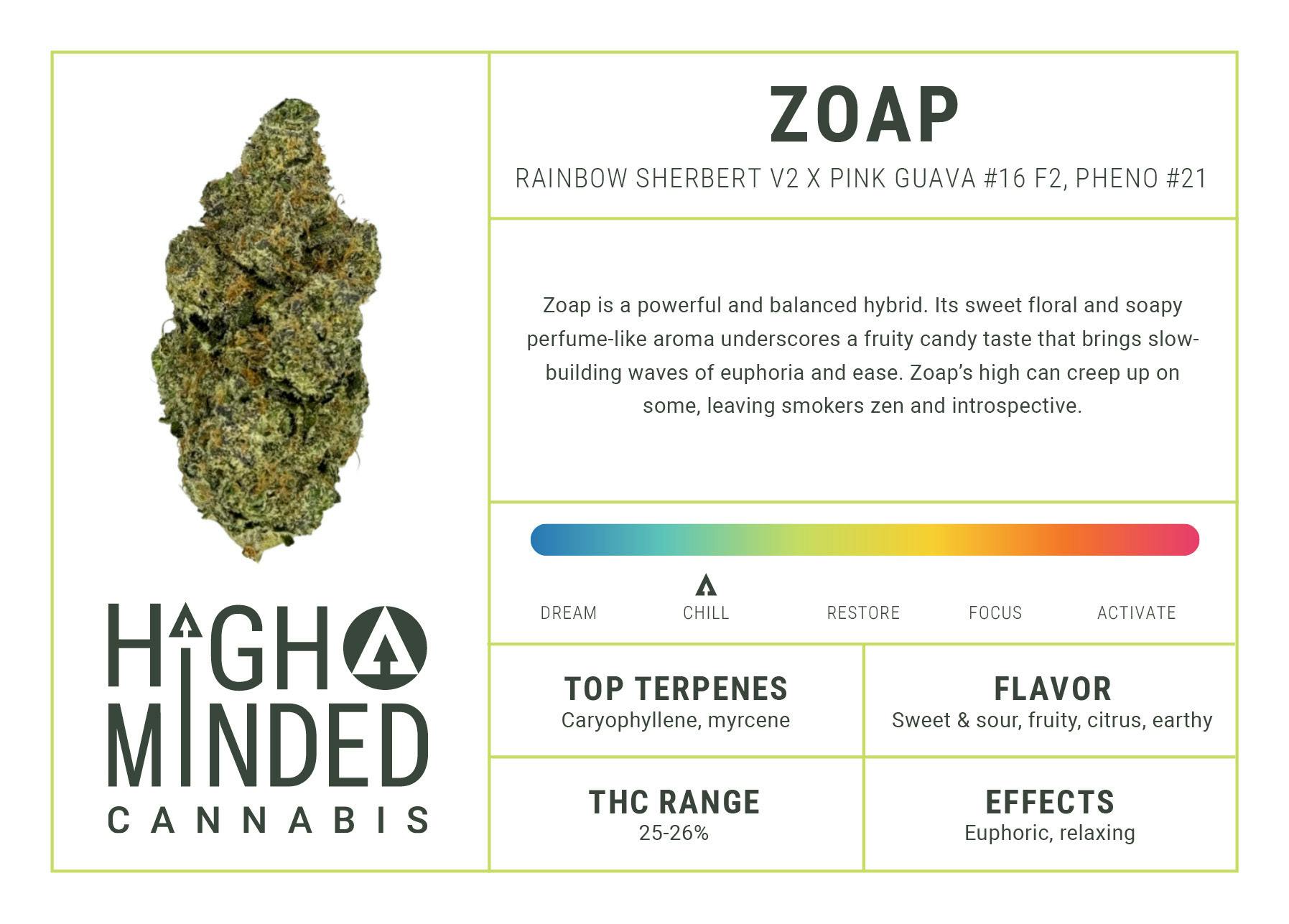 Zoap 2 Zoap