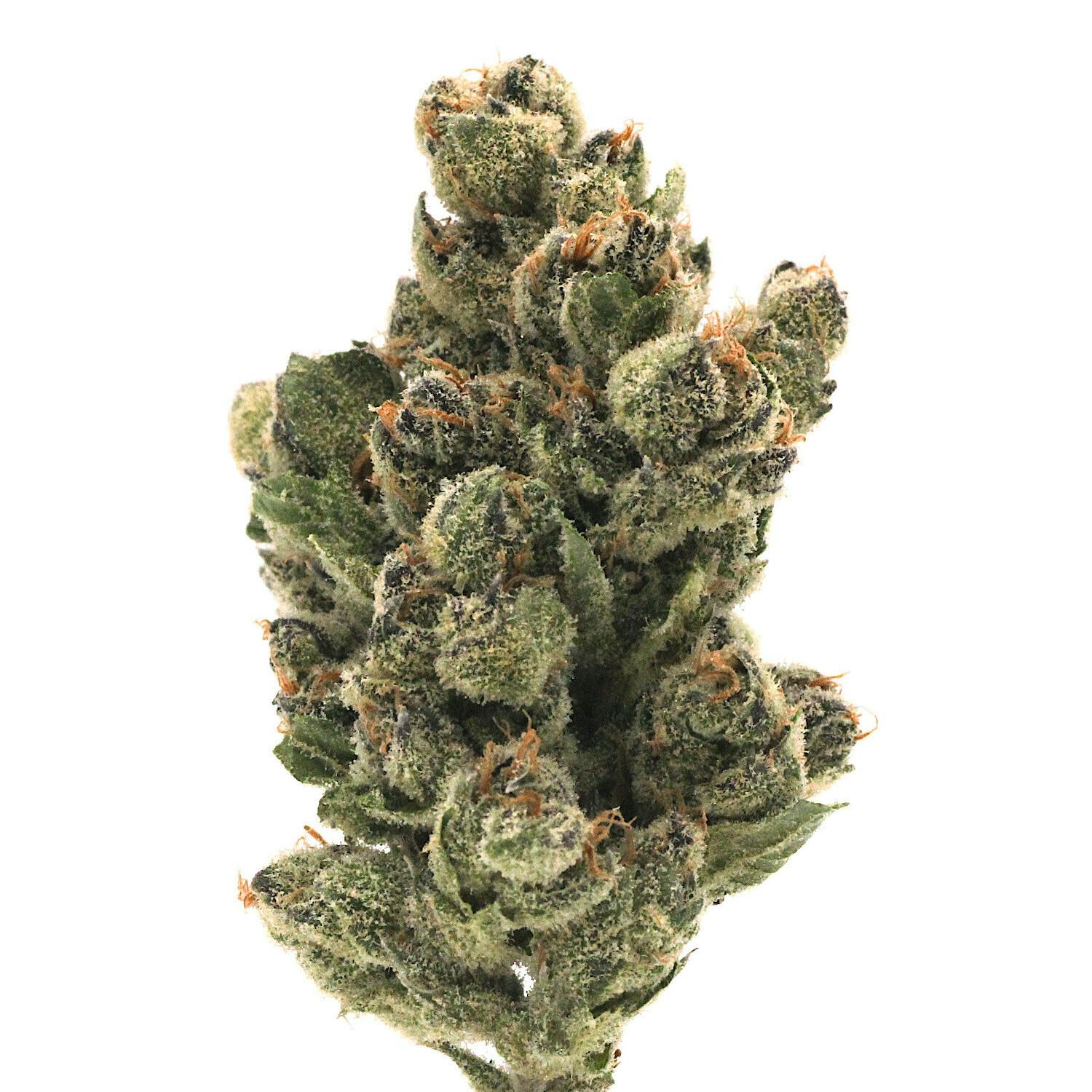 Pink Certz | Flower | 1g