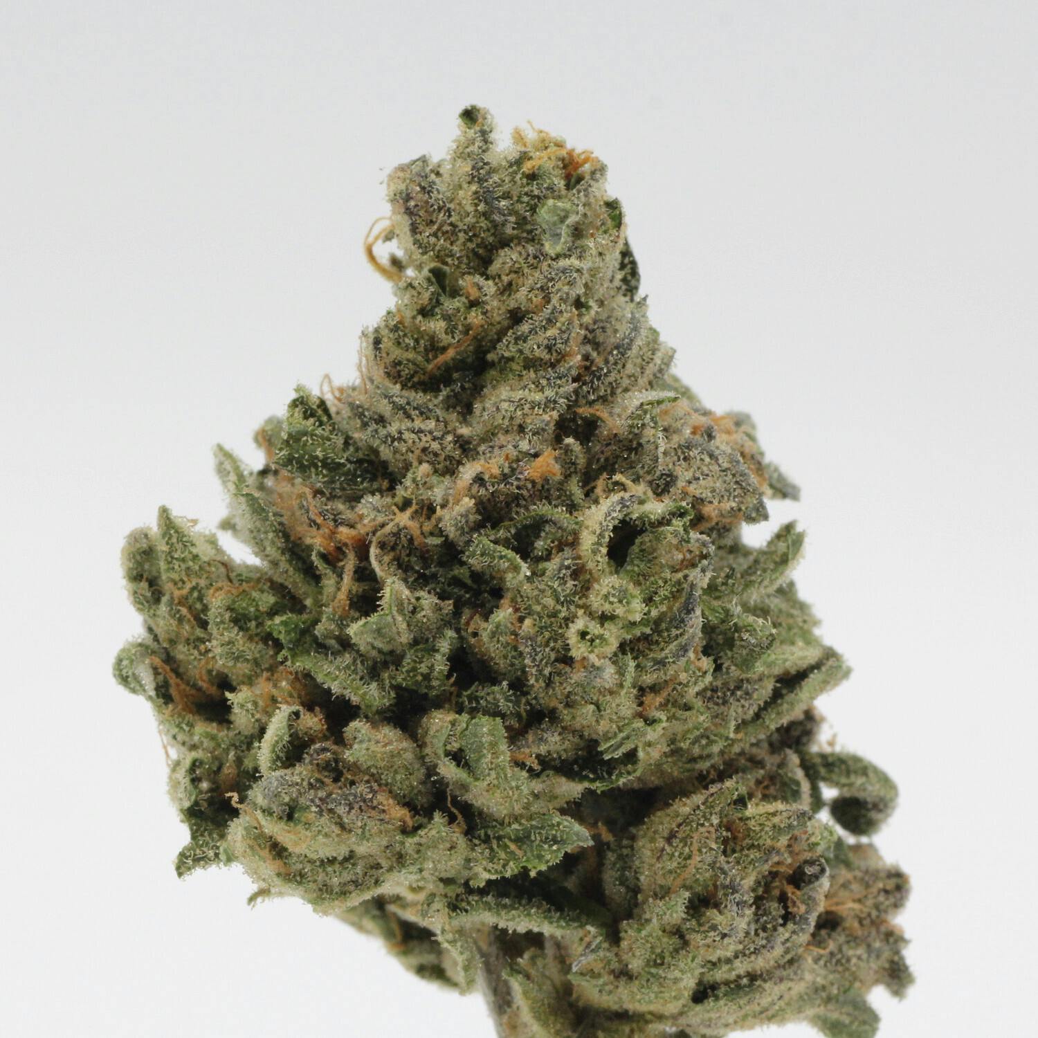 Rainshadow Runtz | Flower | 3.5g