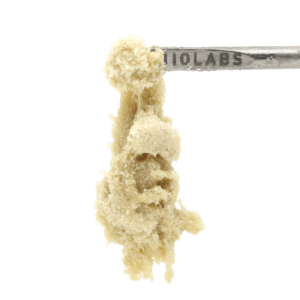 Sundae Driver Live Hash Rosin 1 Sundae Driver Live Hash Rosin