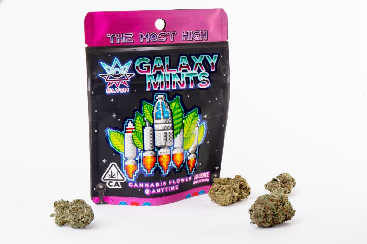 Galaxy Mintz 1 Galaxy Mintz