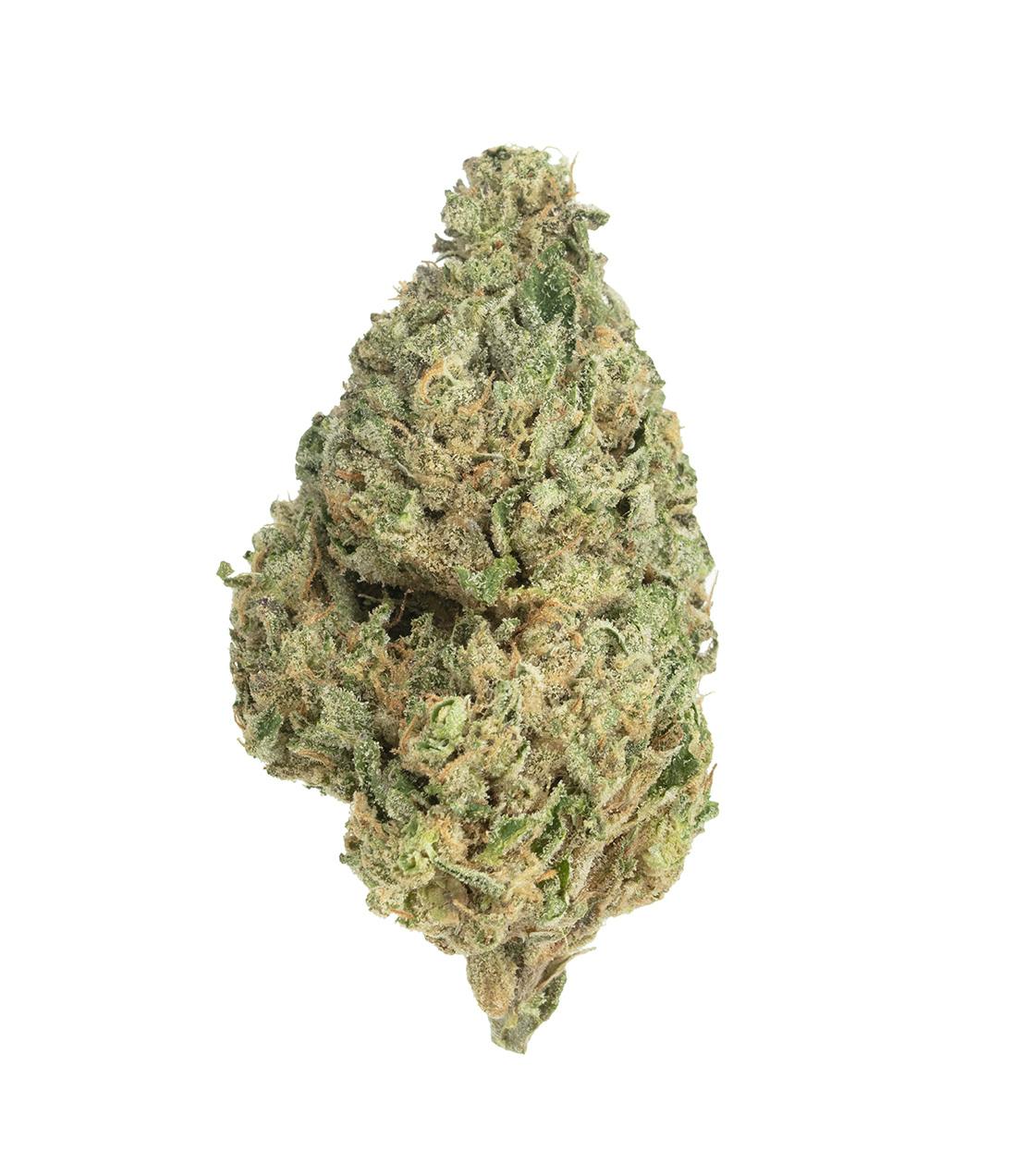 Lemon Mint Flower
