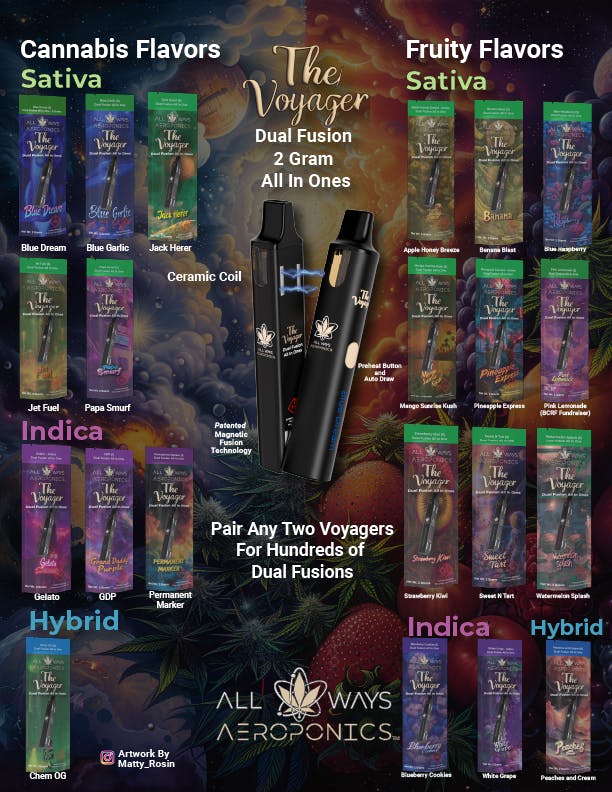 DUAL FUSION 2G All In One | The Voyager 2G | Blue Raspberry