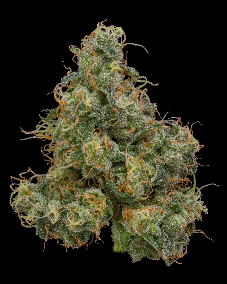Durban Poison - 3.5g