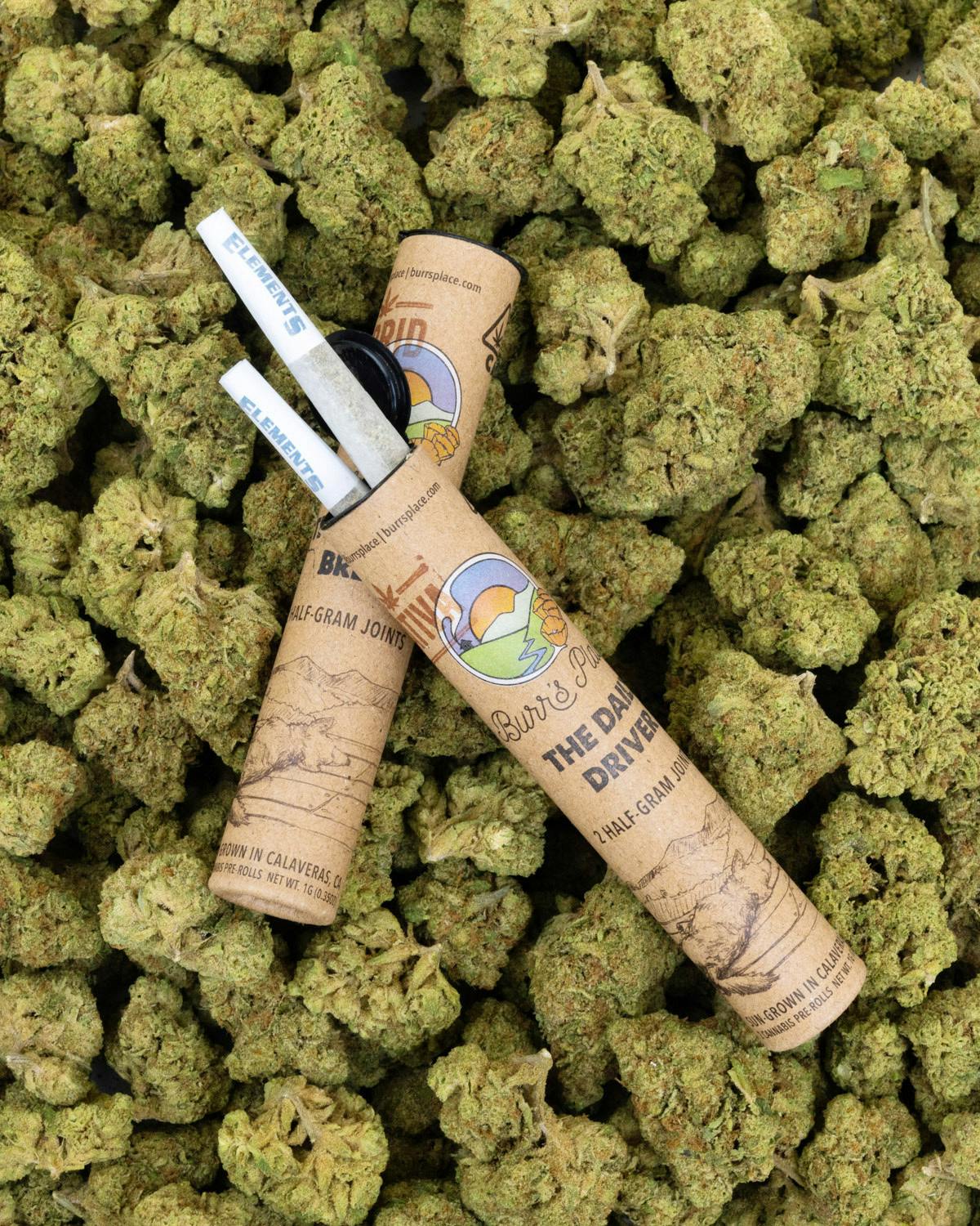 Burr’s Place | The Last Call - 2pk (1g) Indica Blend Pre-Roll Doob-Toob