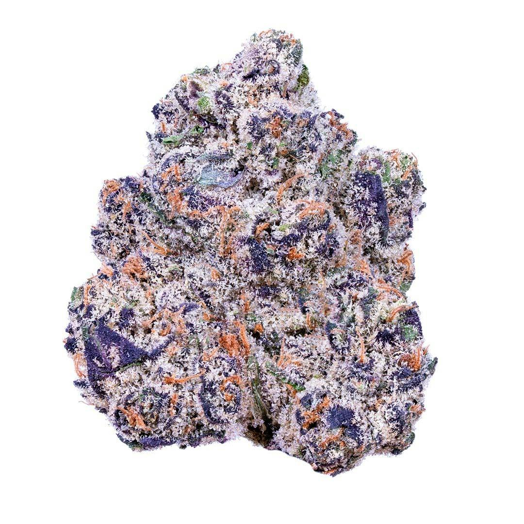 KryptoChronic - Indoor 1 KryptoChronic - Indoor