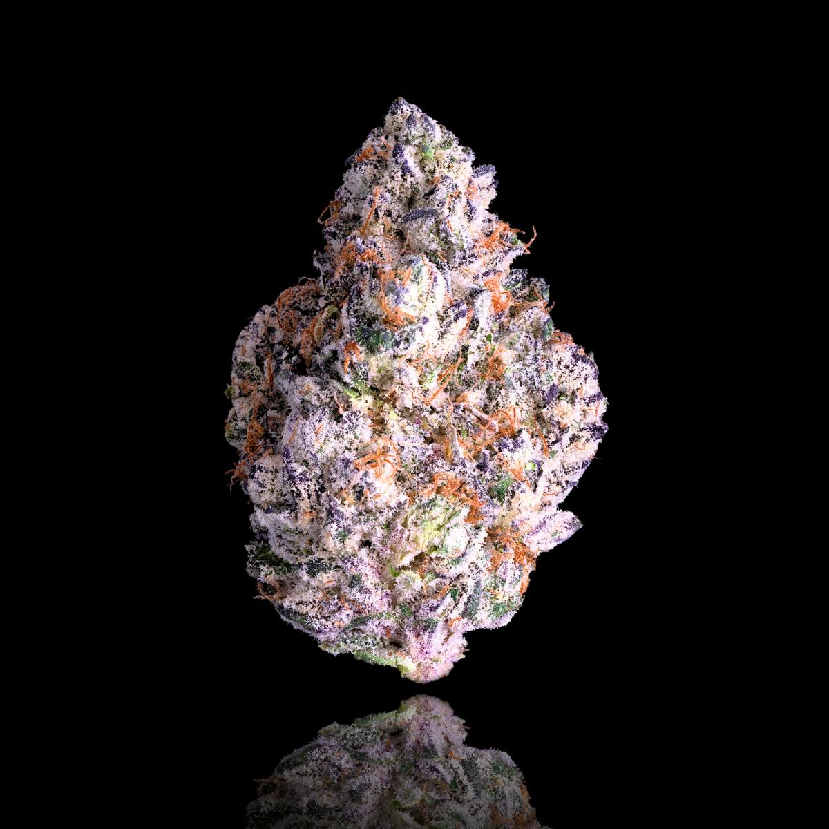 Shangri-La Pre-Roll [1g]