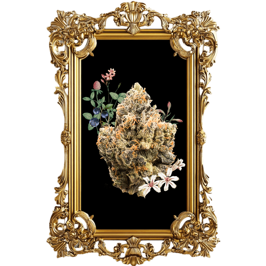 Bubble Gum Runtz 3.5G