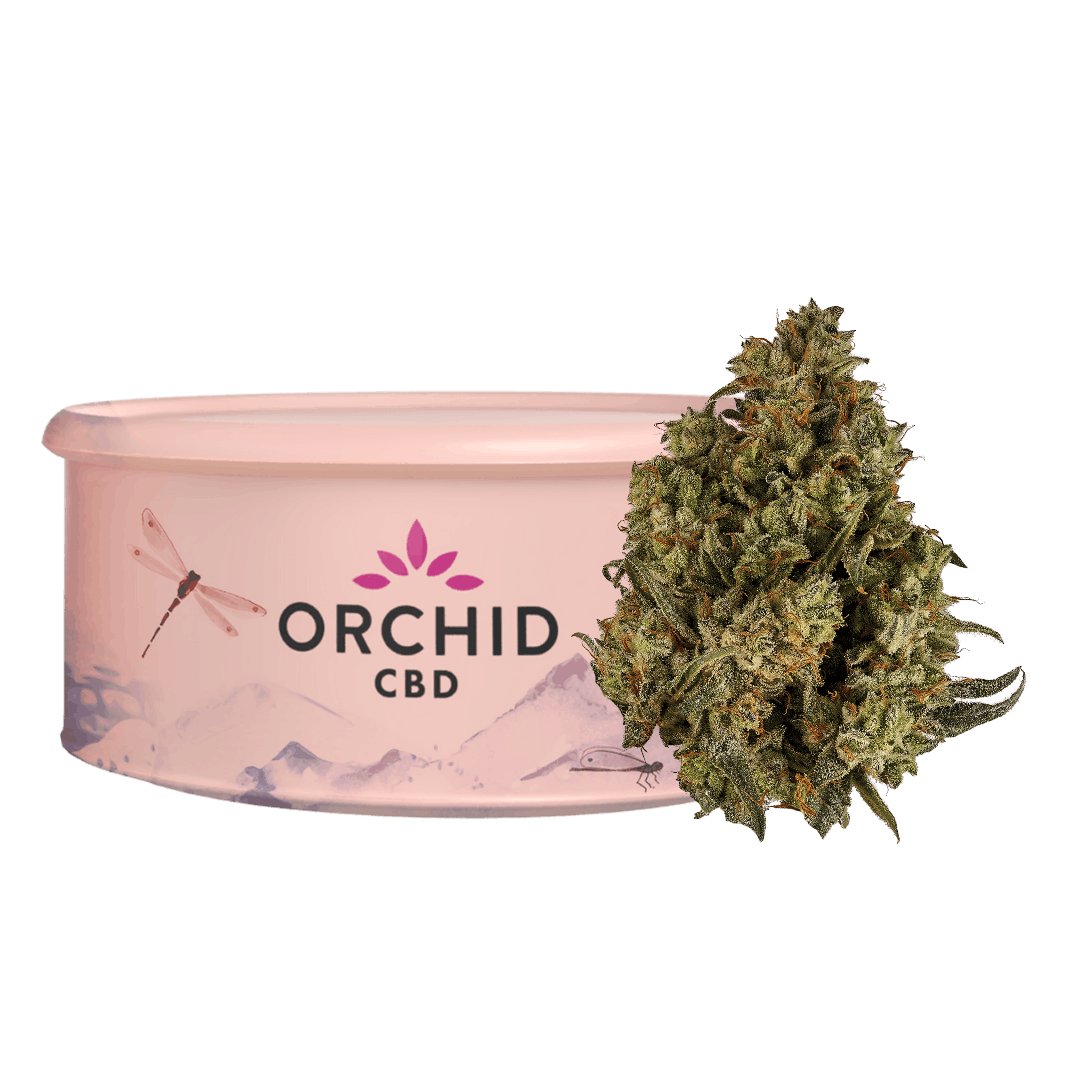 ORCHID CBD RUNTZ – 3.5g
