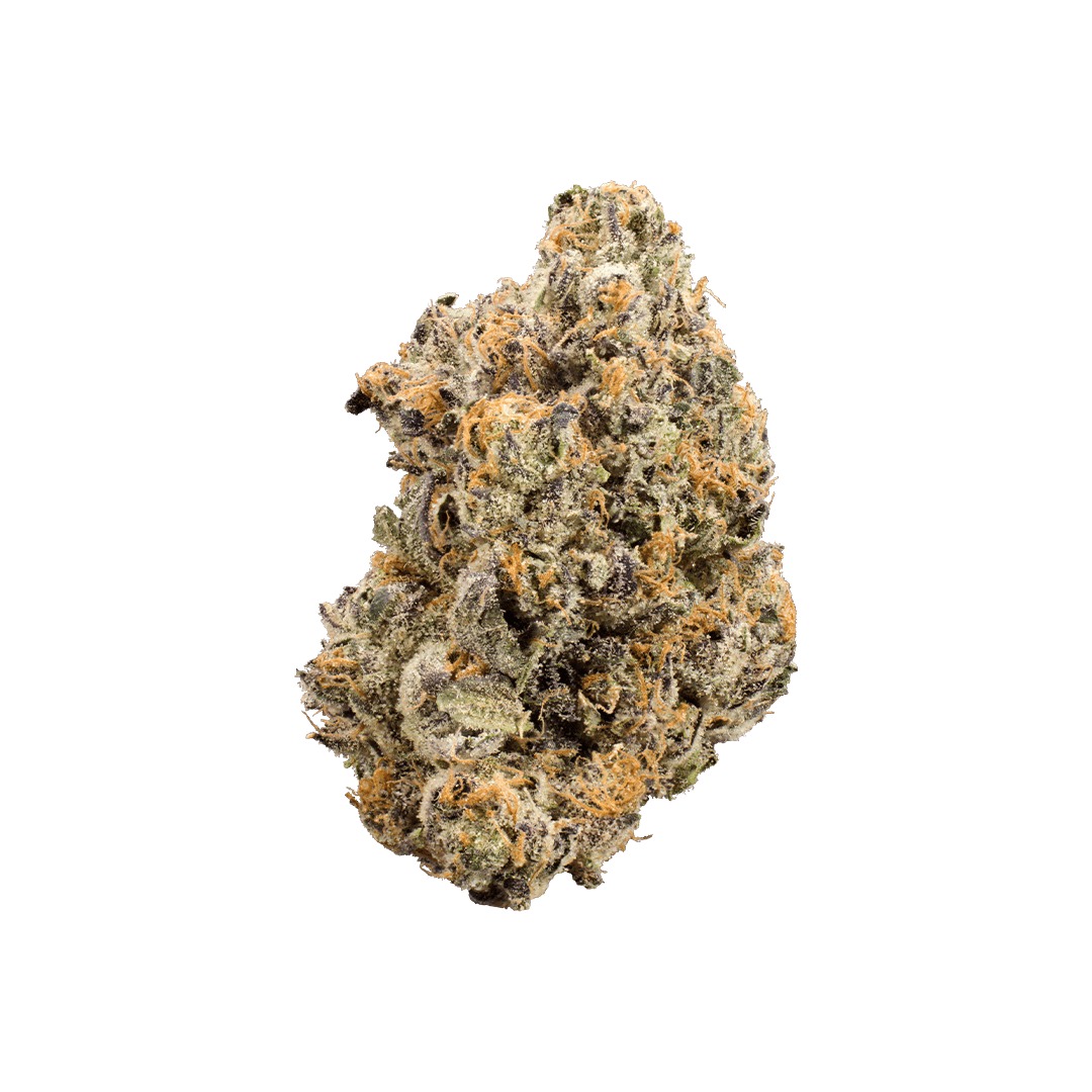 Jet Fuel Gelato 14G