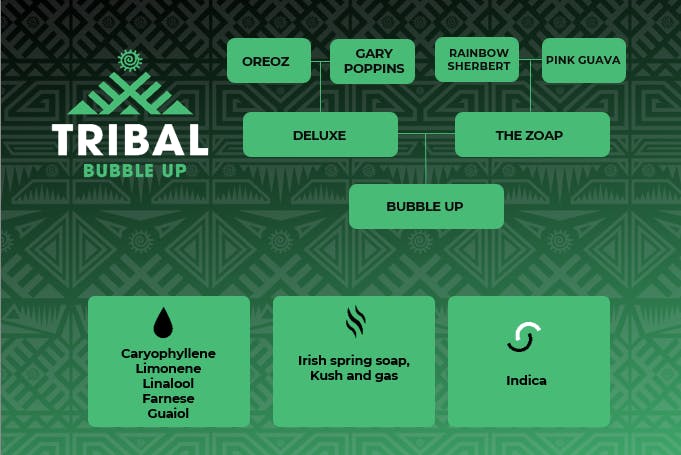 Bubble Up Full Spectrum Extract