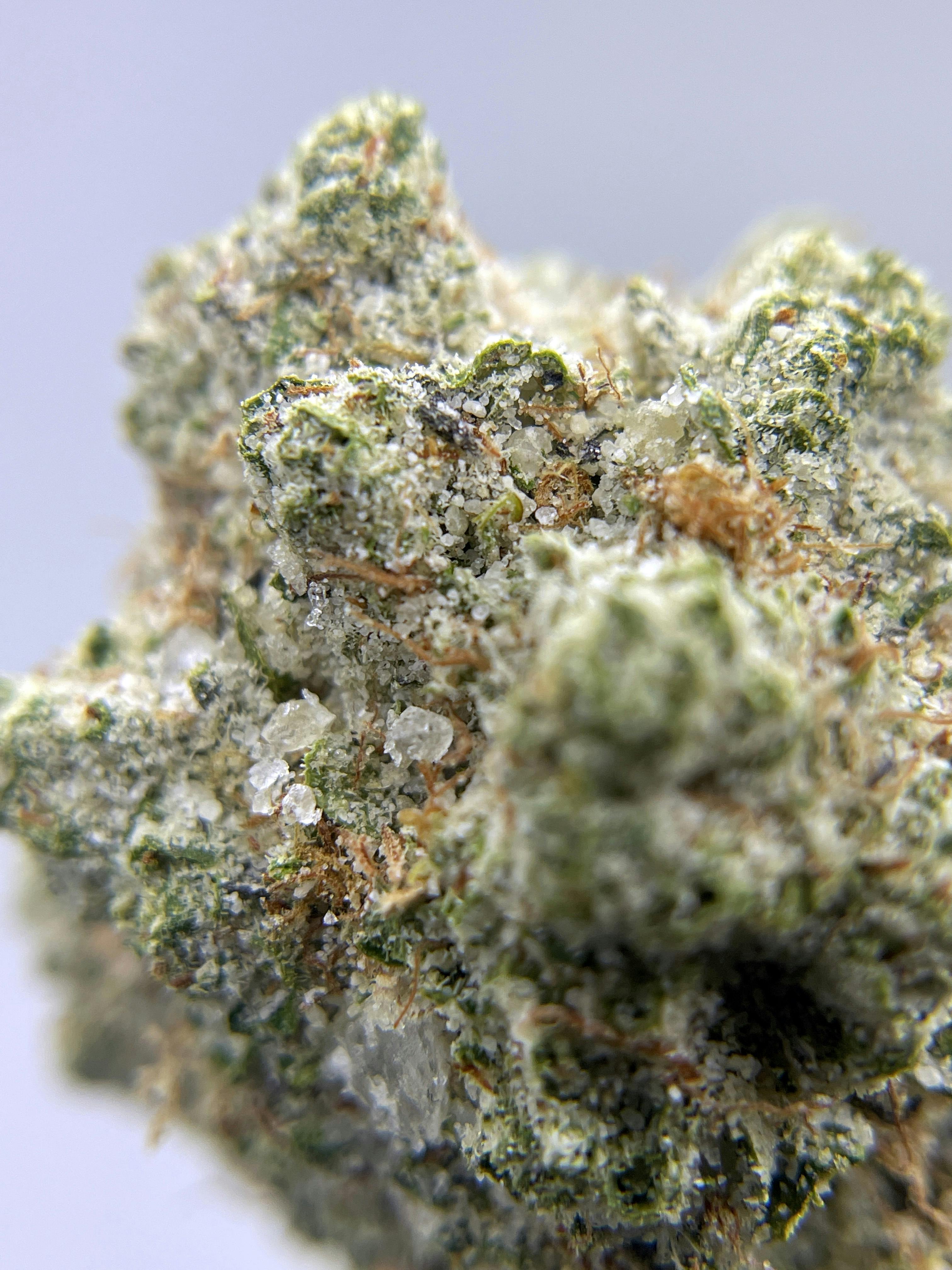 BLACK PEARL - Diamond Coated Indoor - Triangle Kush - 3.5g | 1/8oz