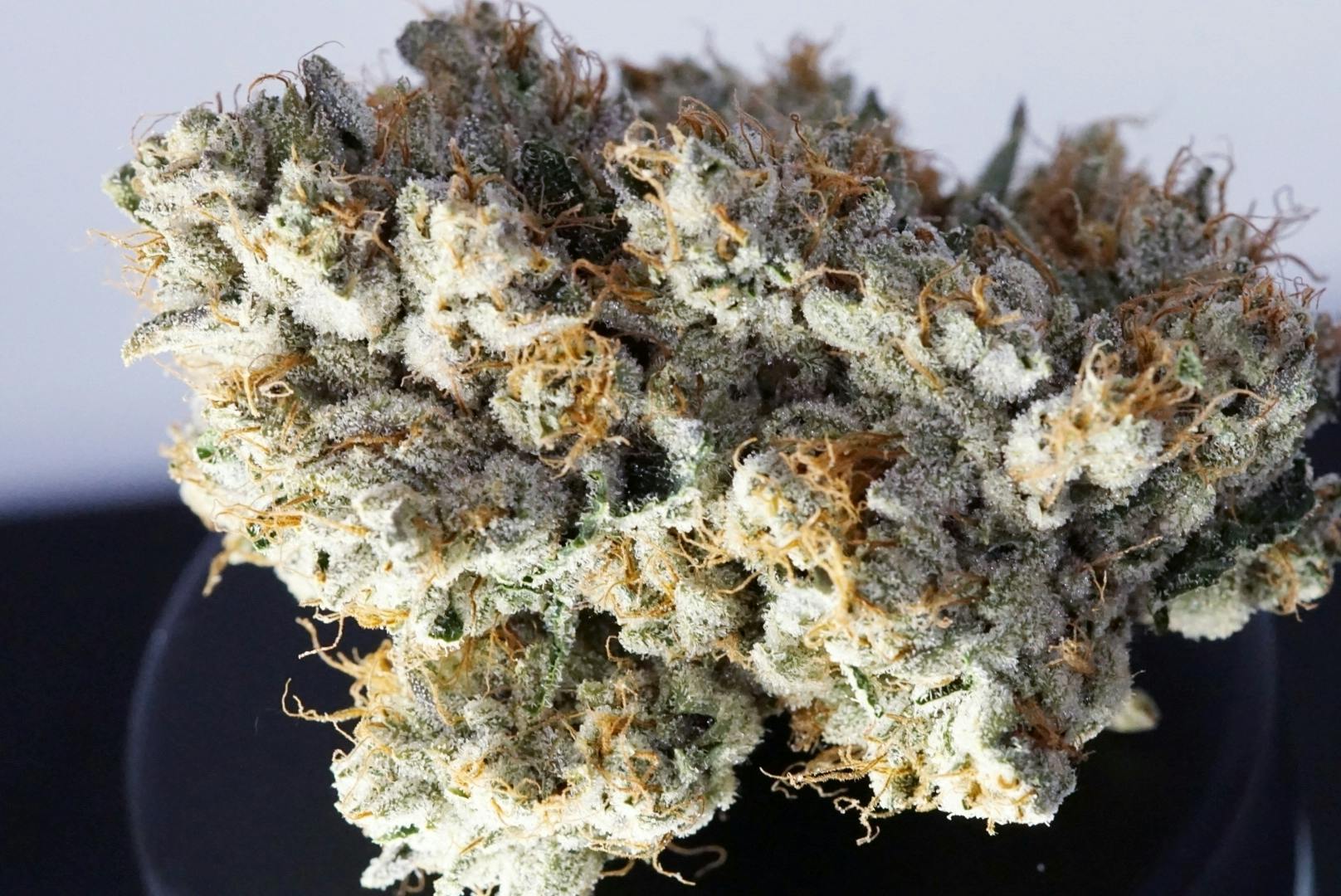 KushCo OG