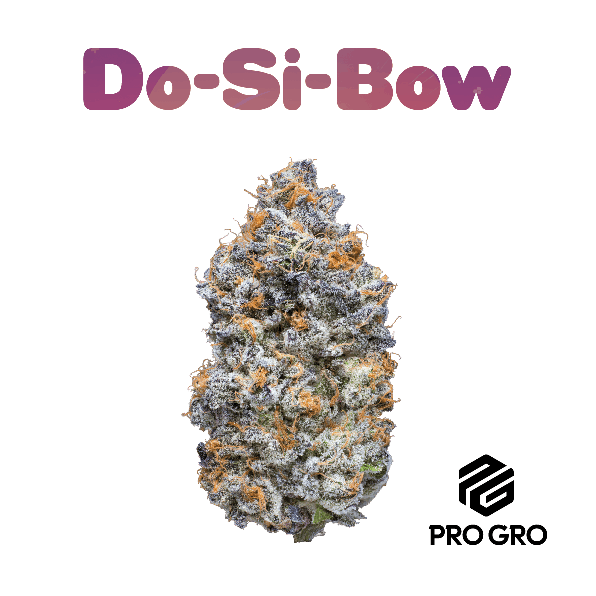 Dosibow Live Rosin Disposable | .5g 1 Dosibow Live Rosin Disposable | .5g