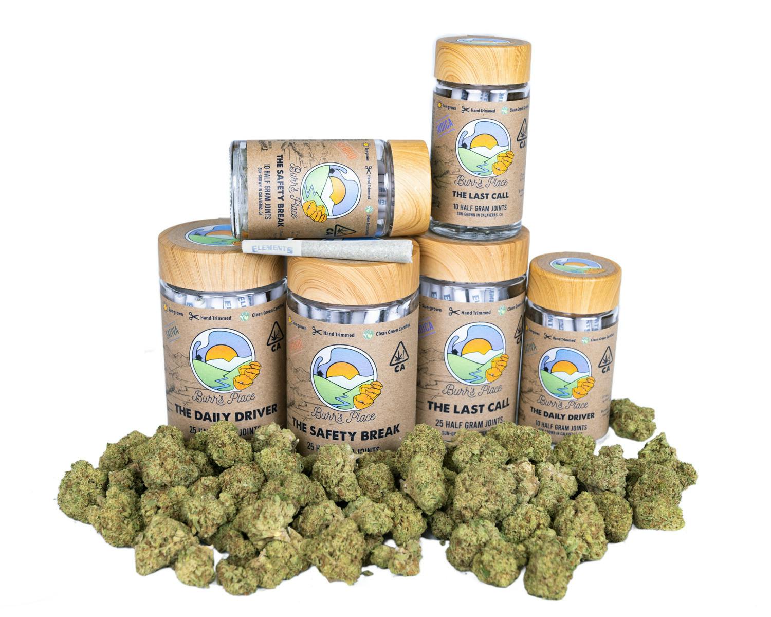 Burr’s Place | The Daily Driver - 10pk (5g) Sativa Blend Pre-Roll Jar