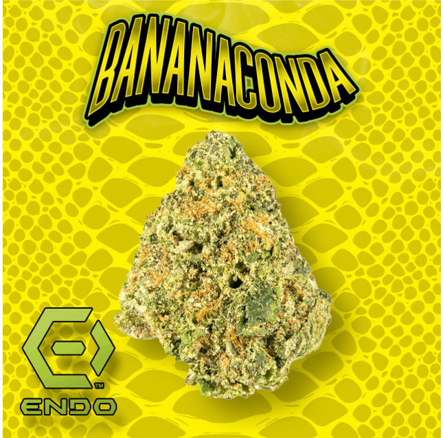 ENDO BANANACONDA 3.5G