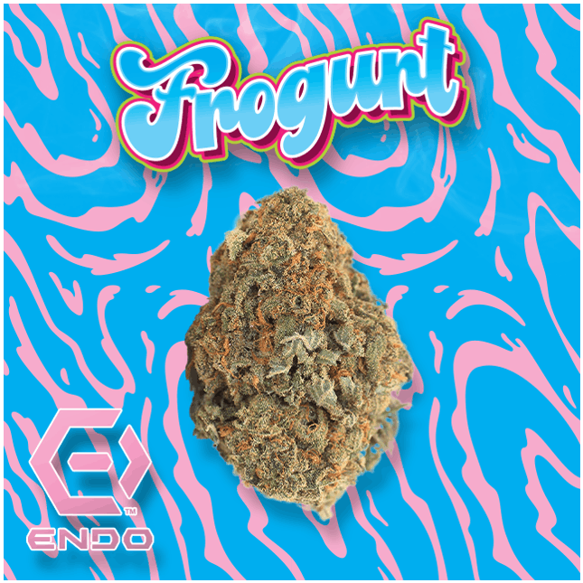 ENDO FROGURT 28G