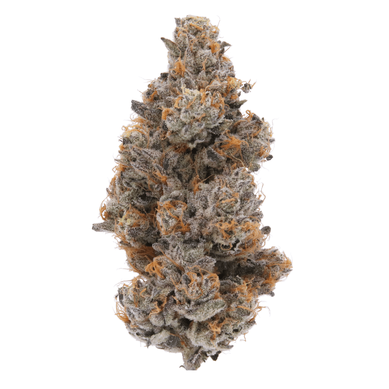 Guava Bomba