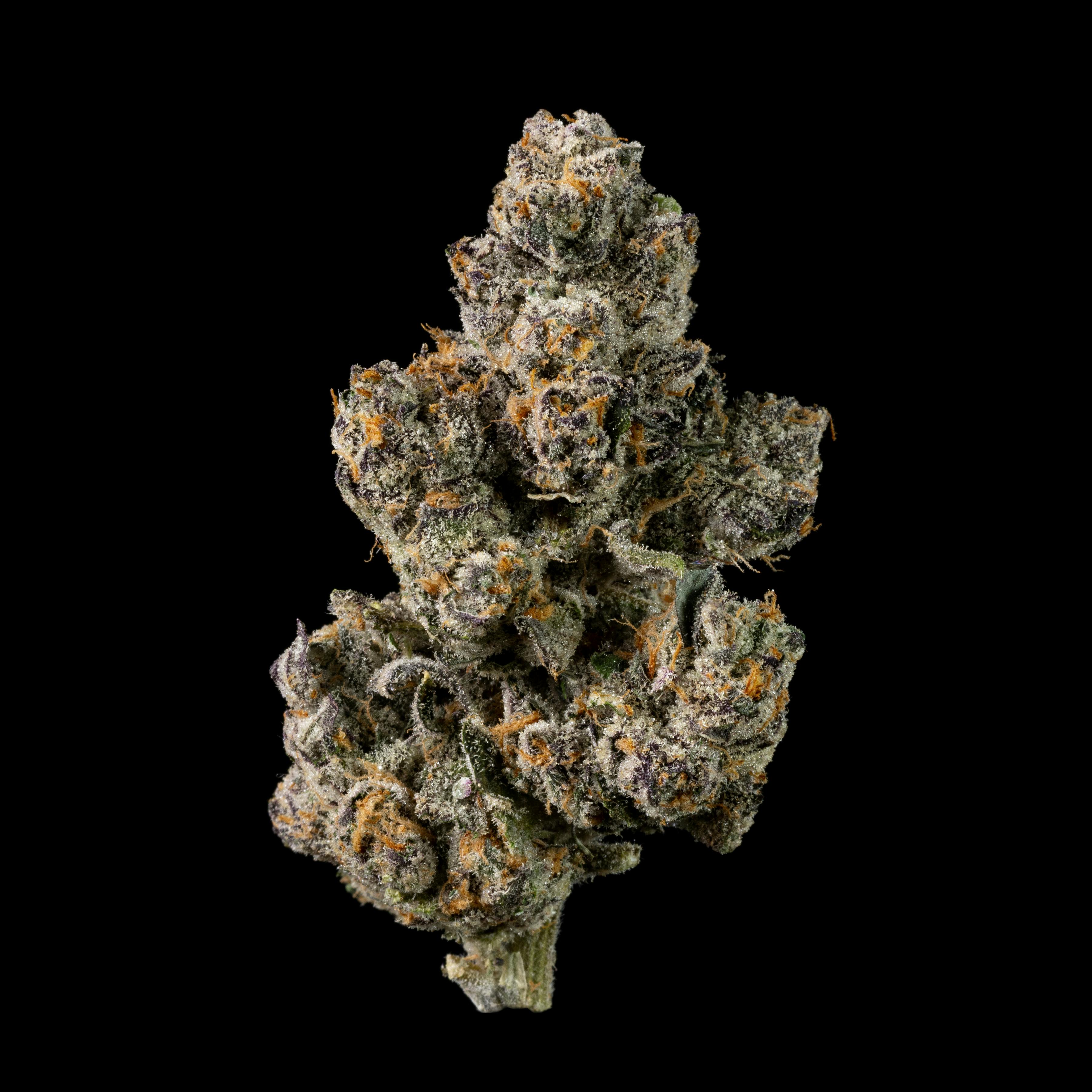 Sweet Tartz