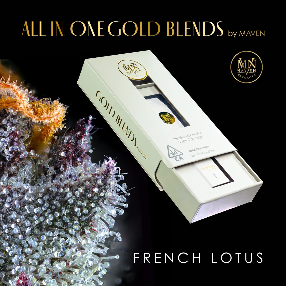 French Lotus All-In-One Gold Blend