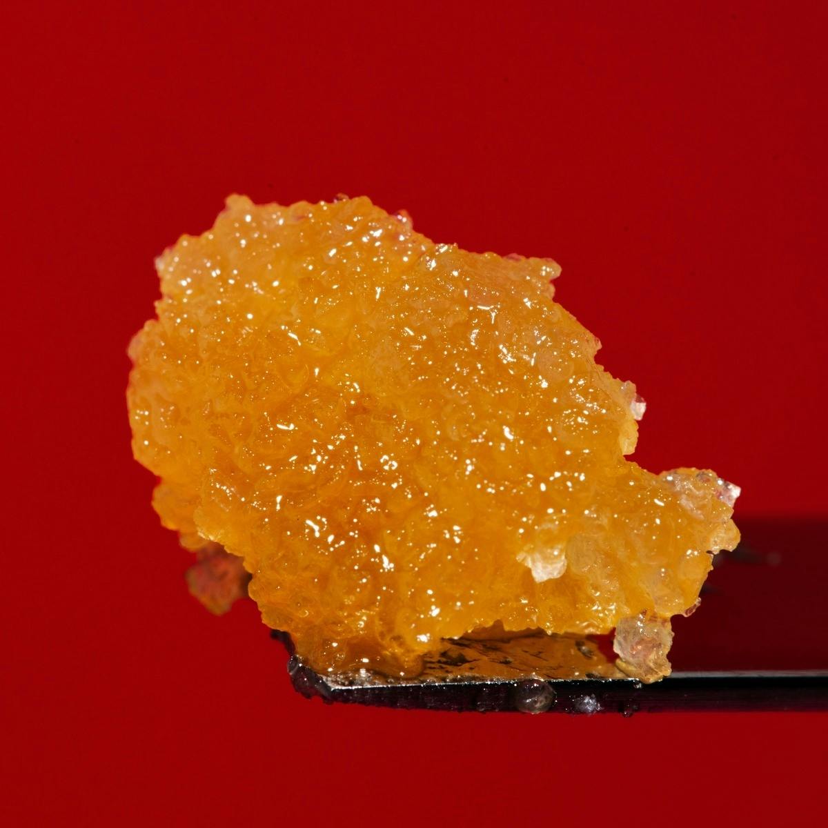 Devil Driver Live Resin Sugar