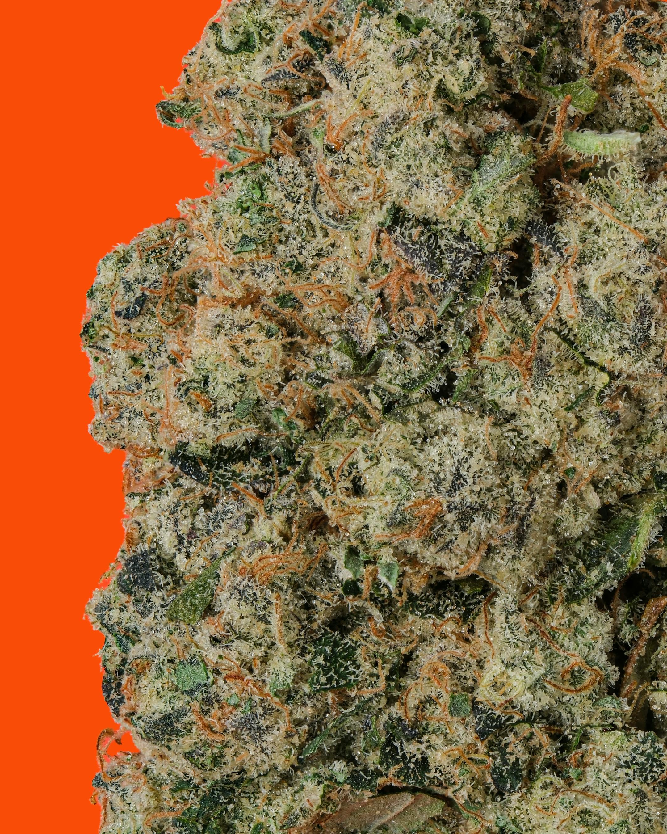 FOX RIVER CHEM