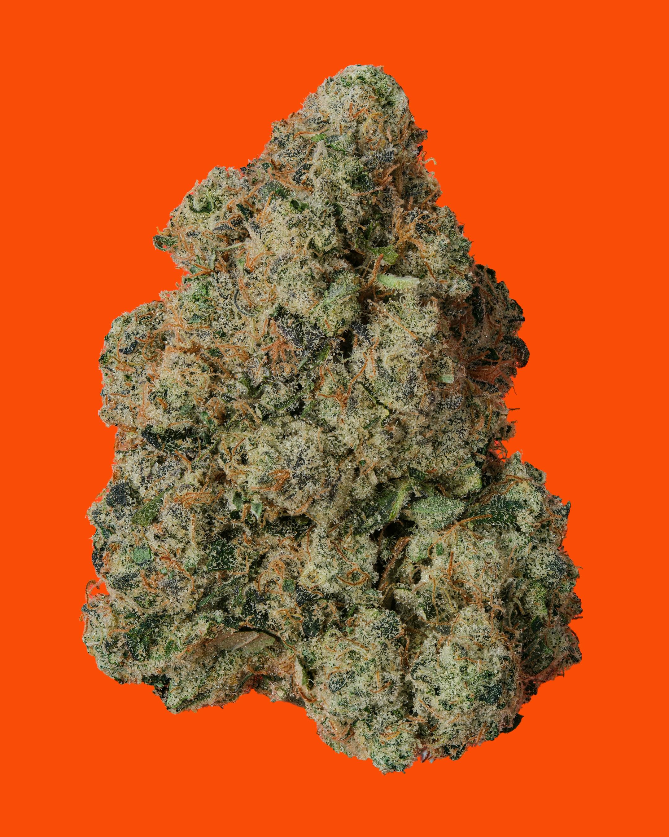 FOX RIVER CHEM