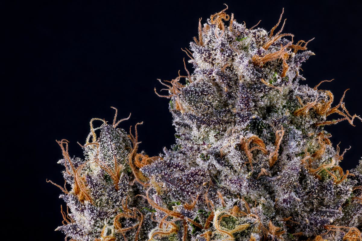 Rapper Weed 3 Rapper Weed