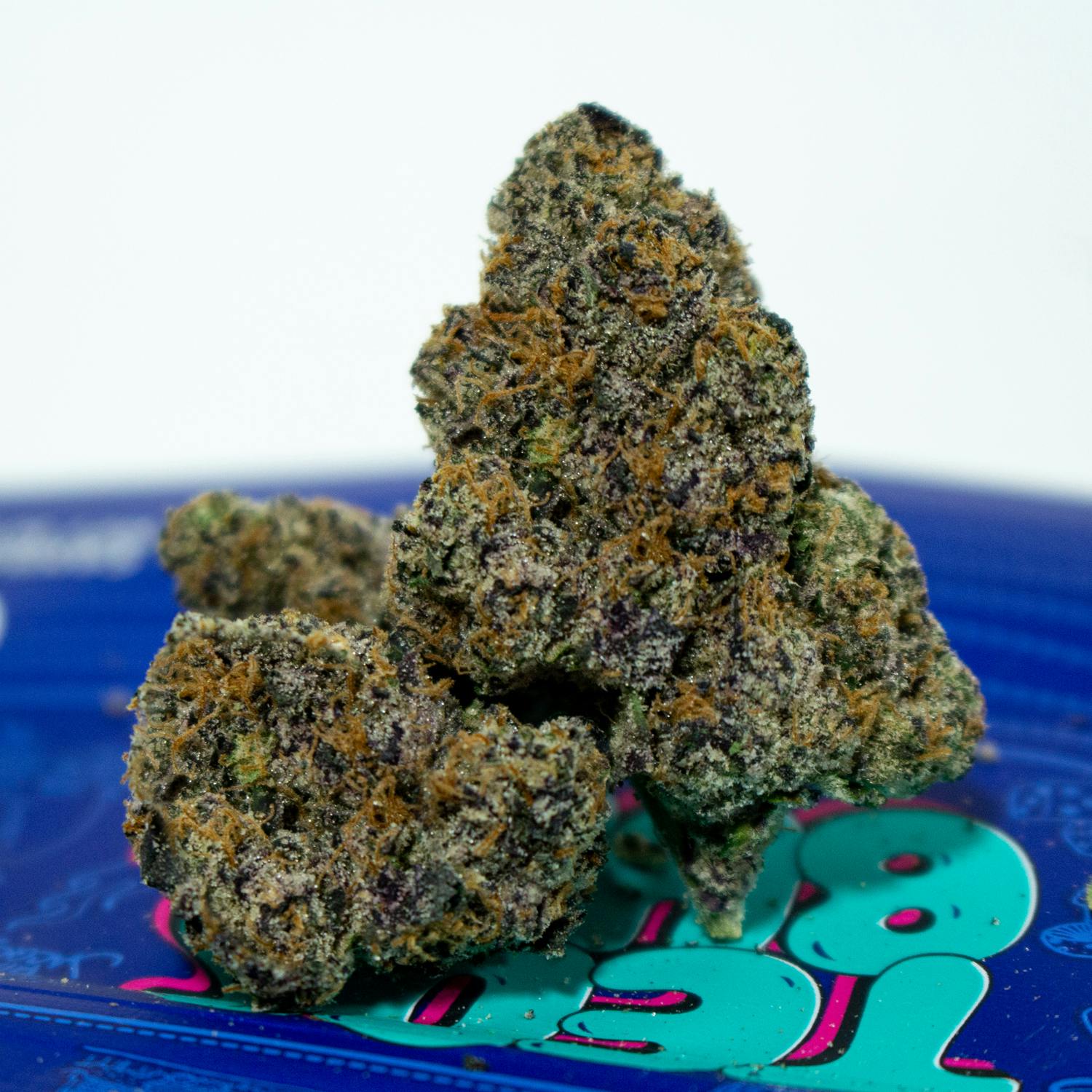 King Neptune 2 King Neptune