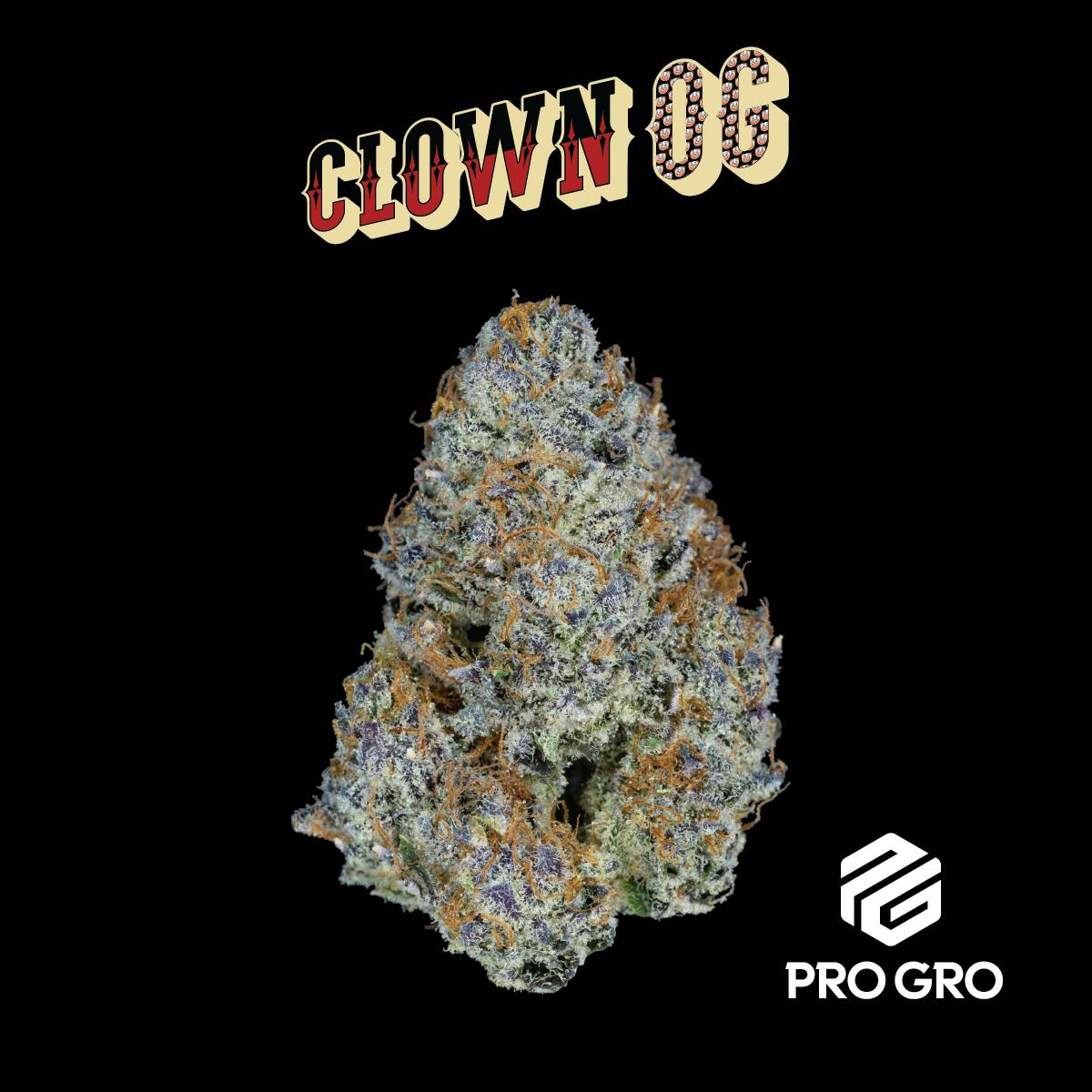 Clown OG Pre-Pack | 3.5g