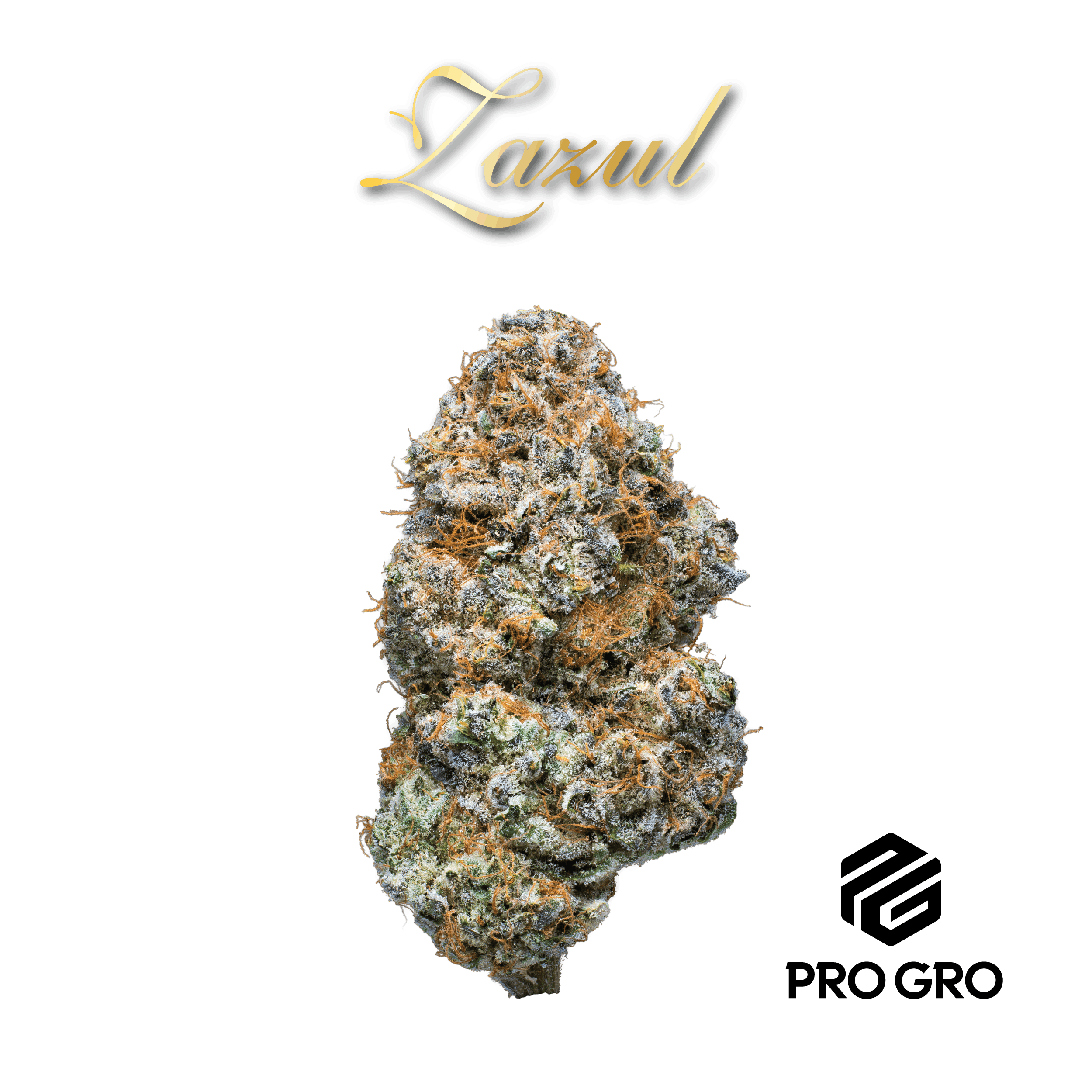 Zazul Bubble Hash Infused Pre-Roll | 1g (3pk)