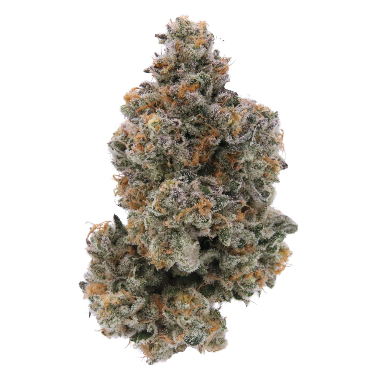 Golden Pear