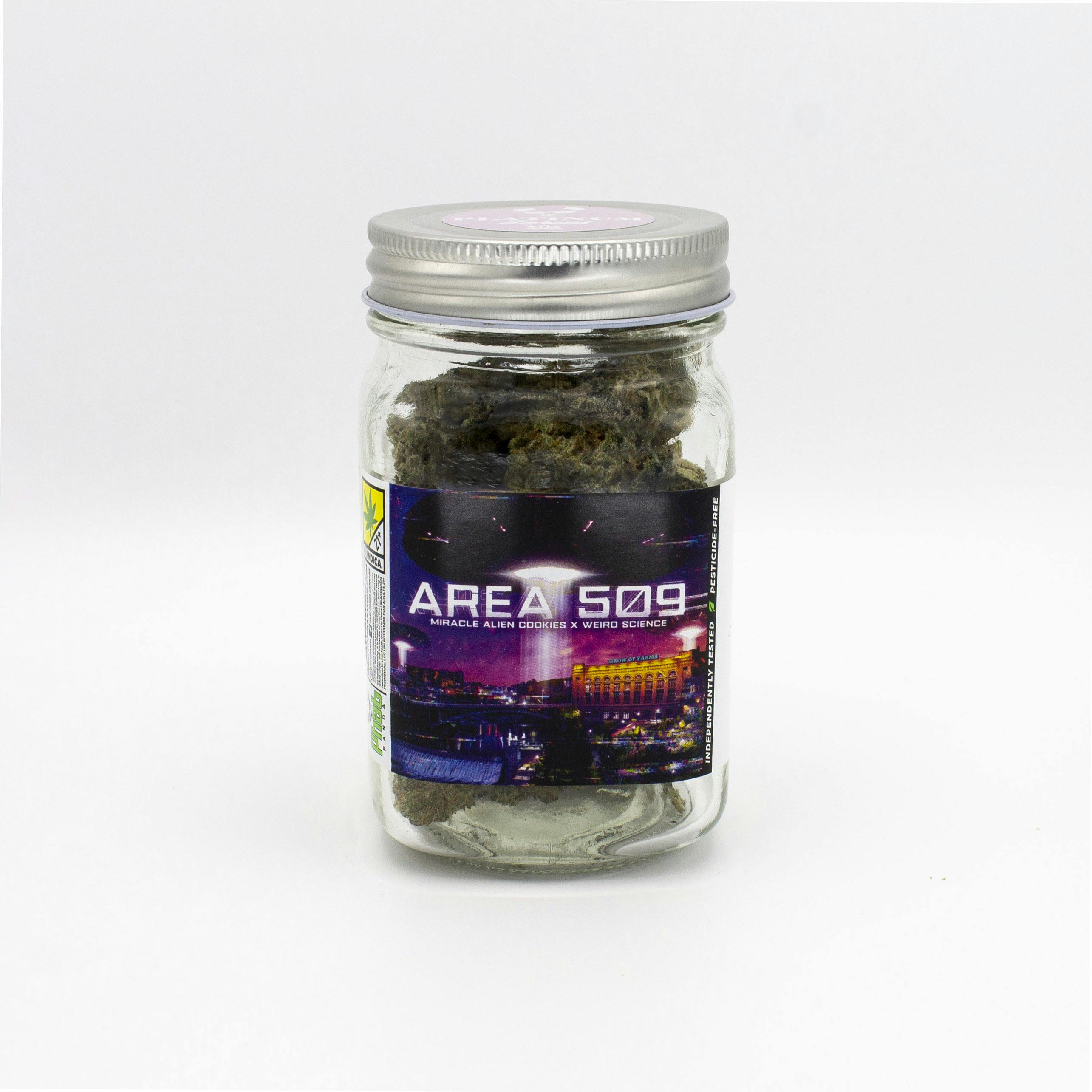 Area 509 - WA