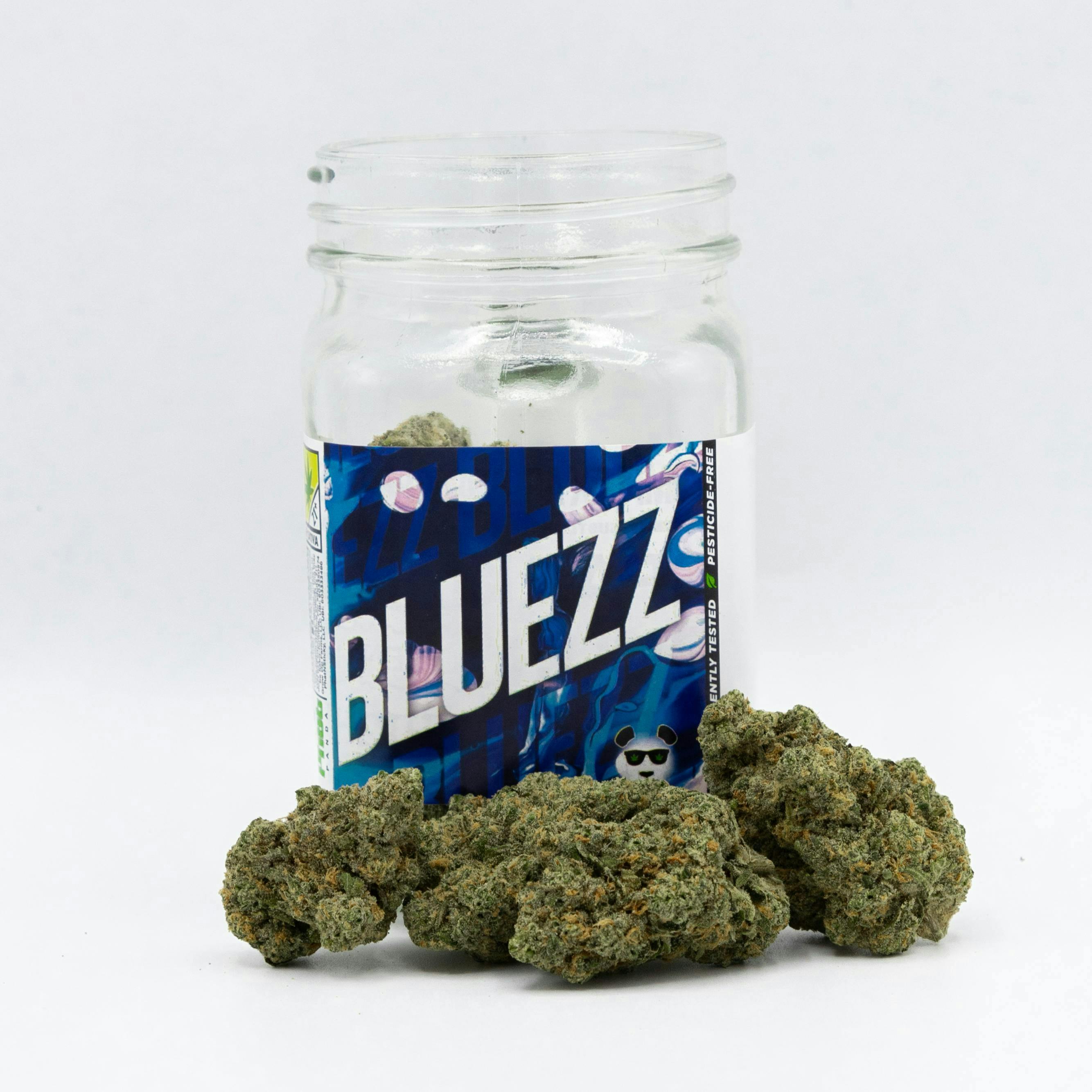 Bluezz - WA