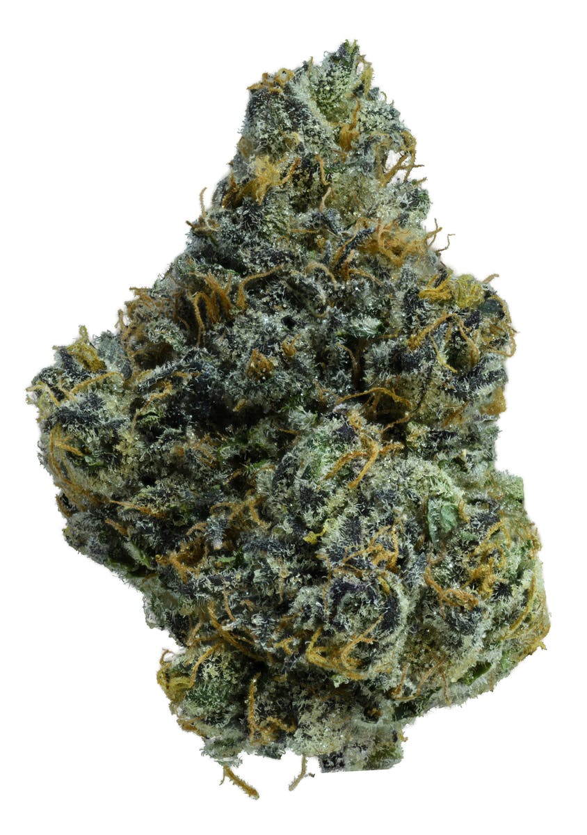 Fresca Fiesta | Flower | 3.5g 2 Fresca Fiesta | Flower | 3.5g