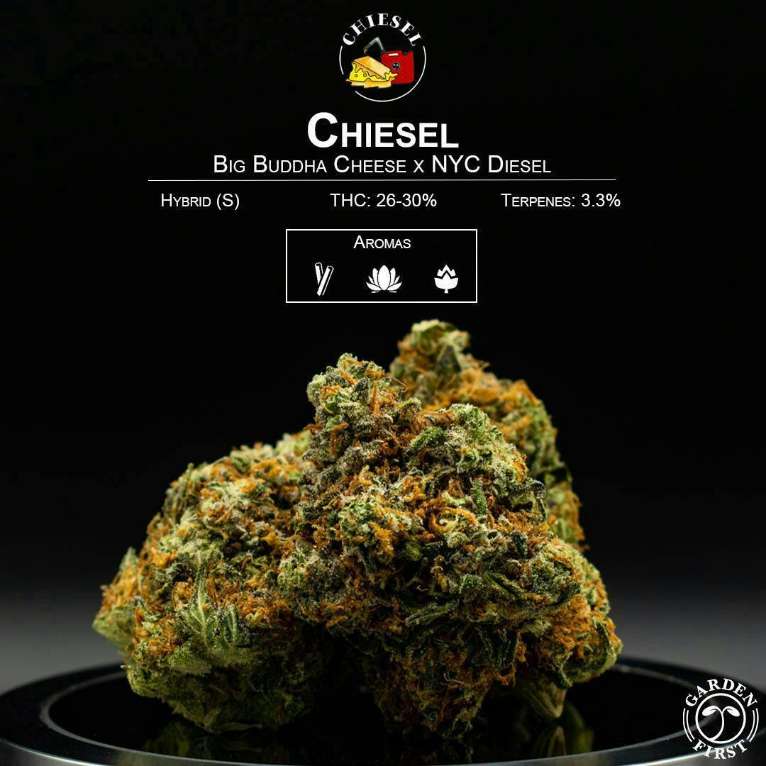 Chiesel by Garden First