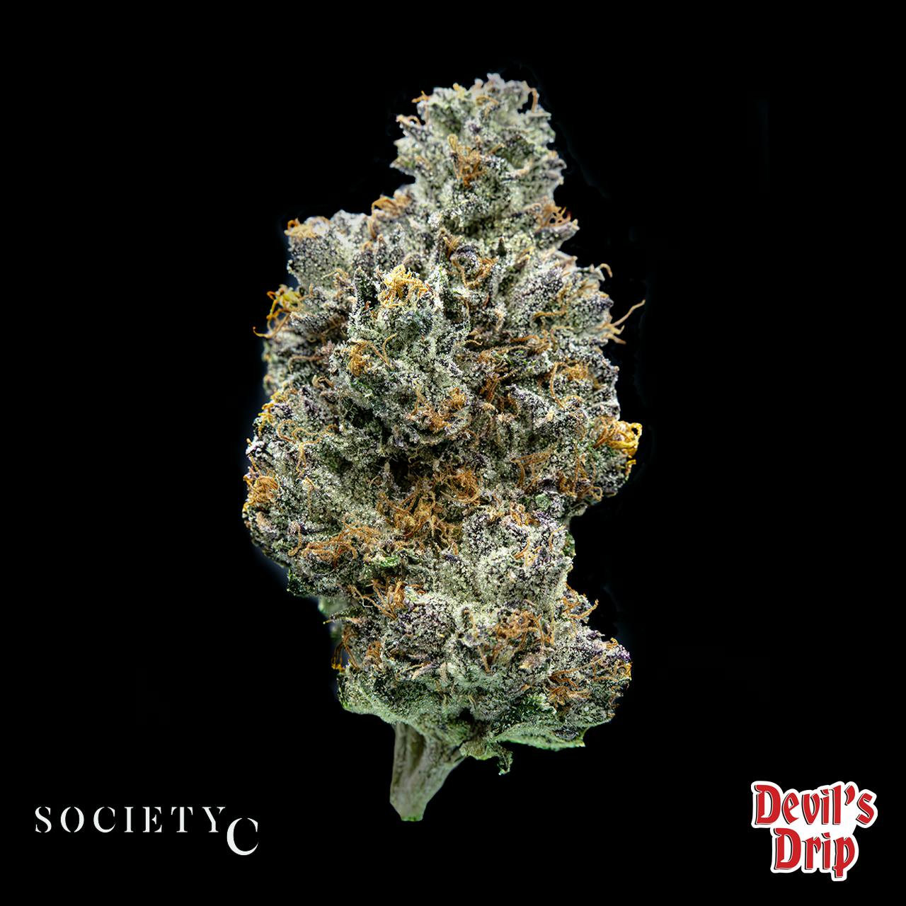 Society C - Devil's Drip BIGS - 28g 2 Society C - Devil's Drip BIGS - 28g