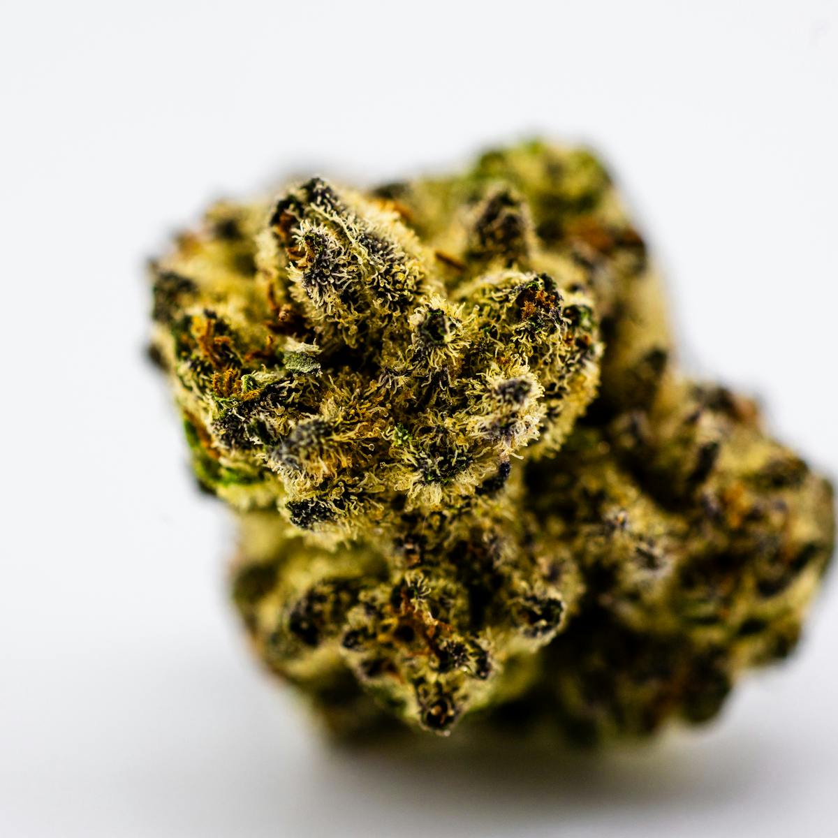 GORILLA COOKIES (3.5G BAG) 4 GORILLA COOKIES (3.5G BAG)