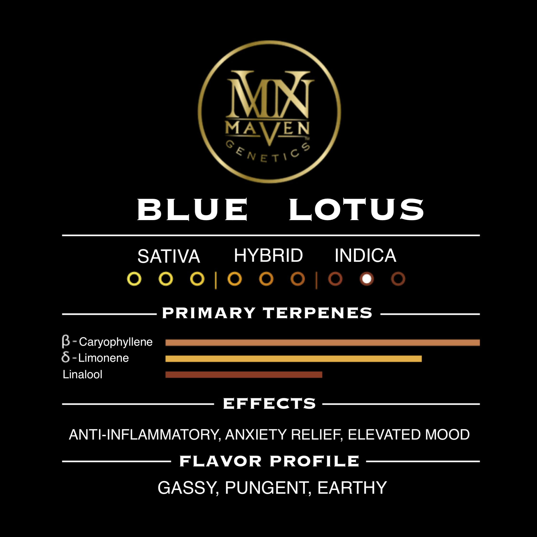 Blue Lotus 9 Blue Lotus