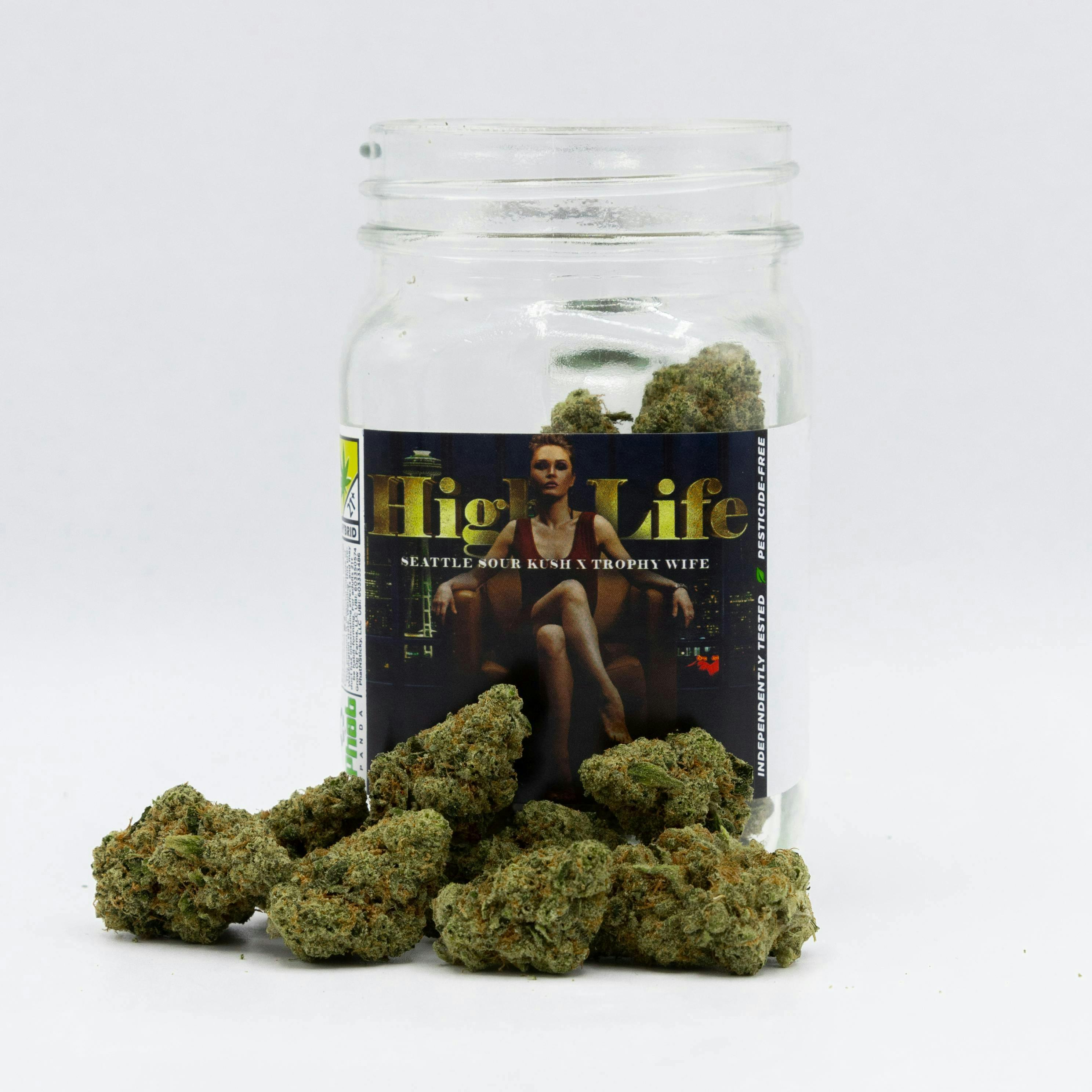 High Life - WA 1 High Life - WA