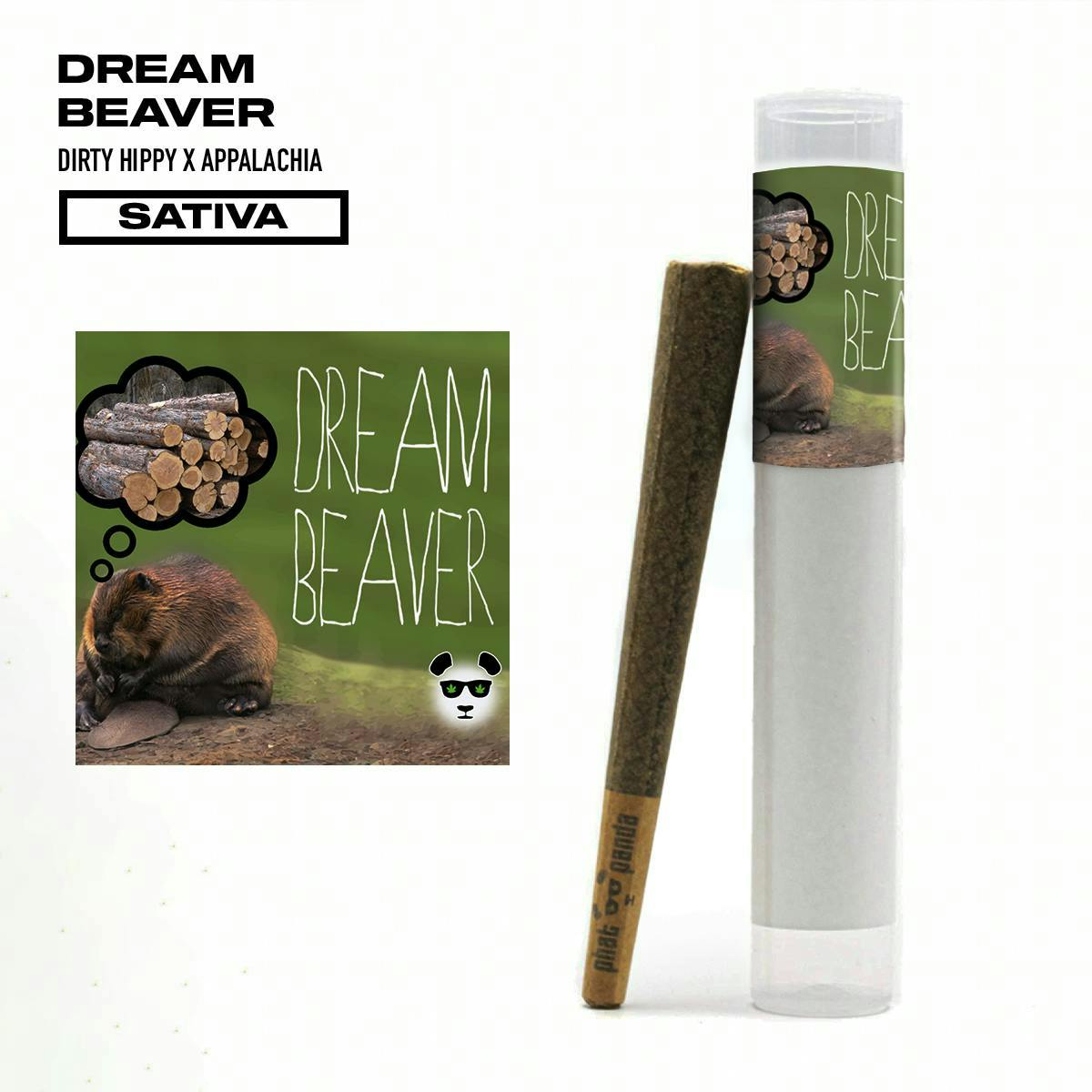 Dream Beaver - Preroll - WA 1 Dream Beaver - Preroll - WA