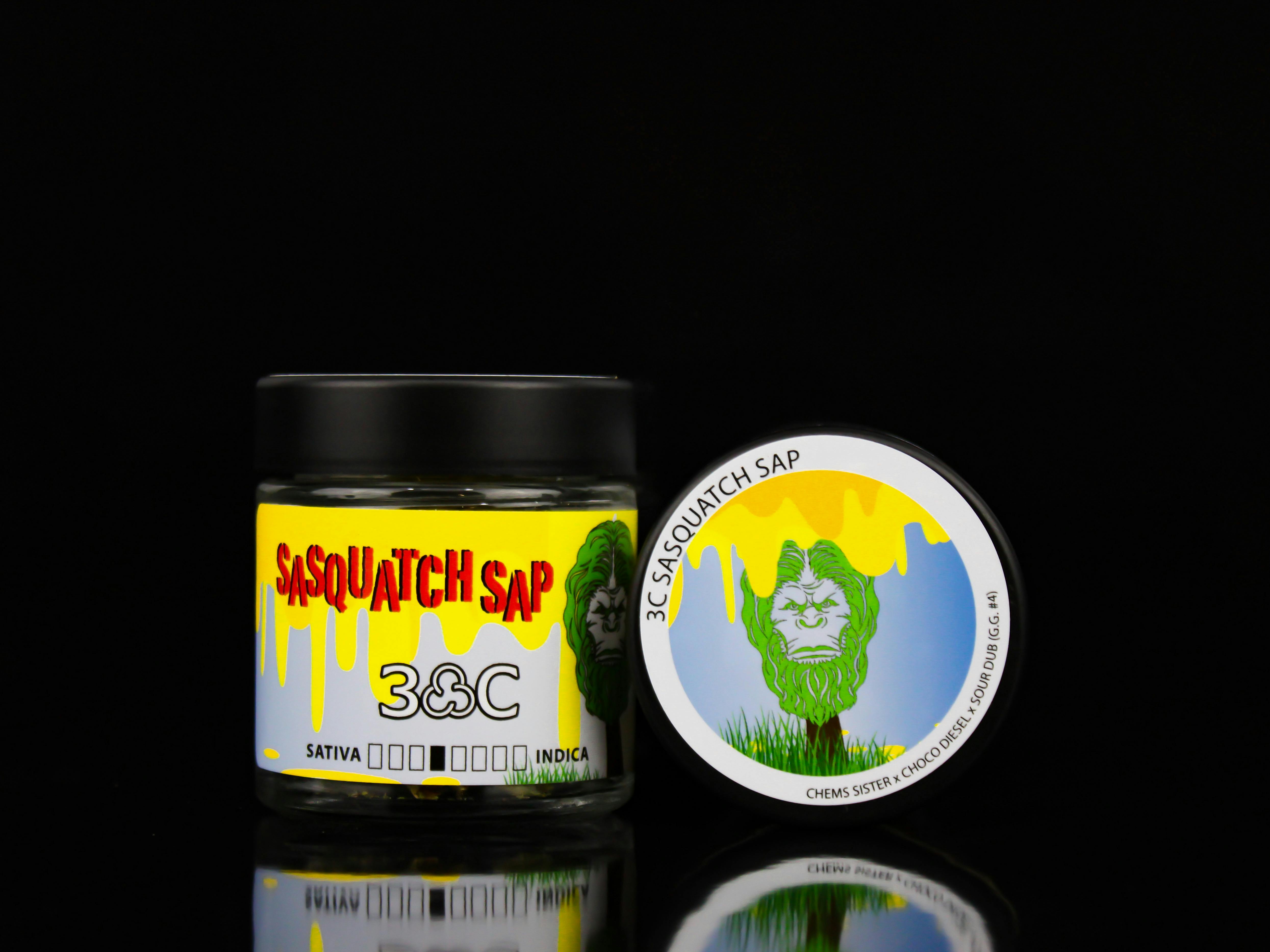 3C | Sasquatch Sap - 8th