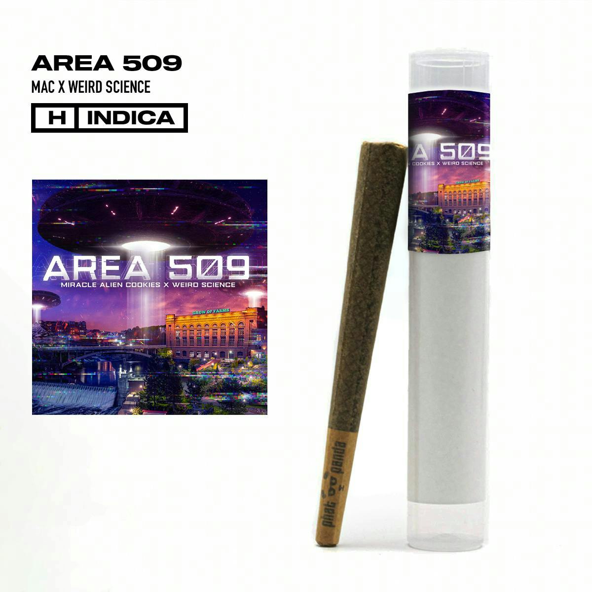 Area 509 - Preroll - WA