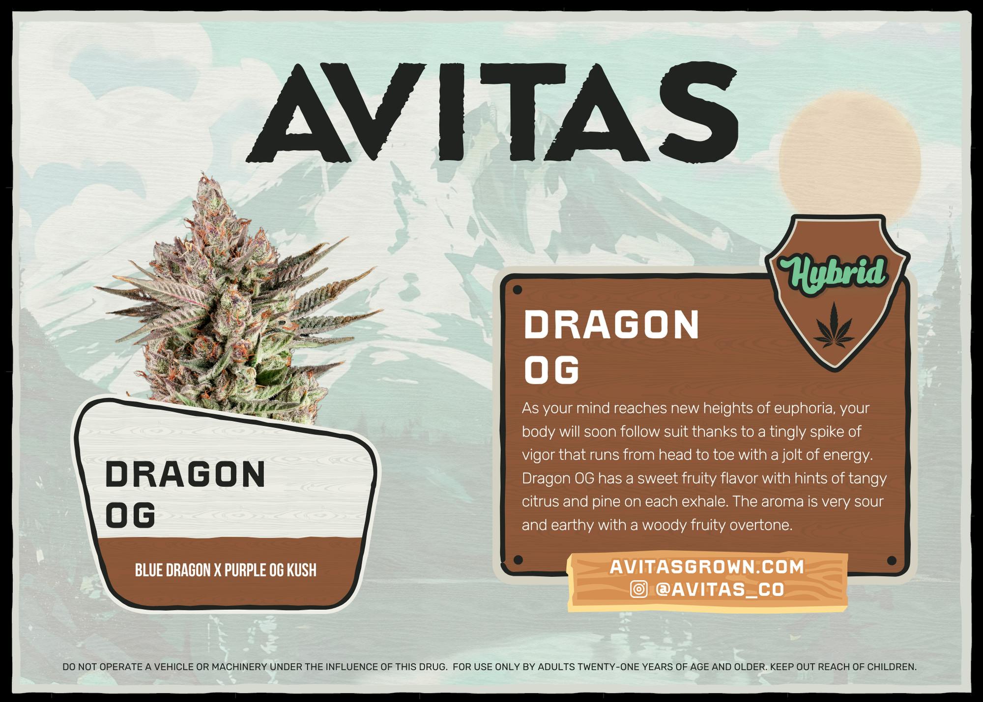 Dragon OG Buds