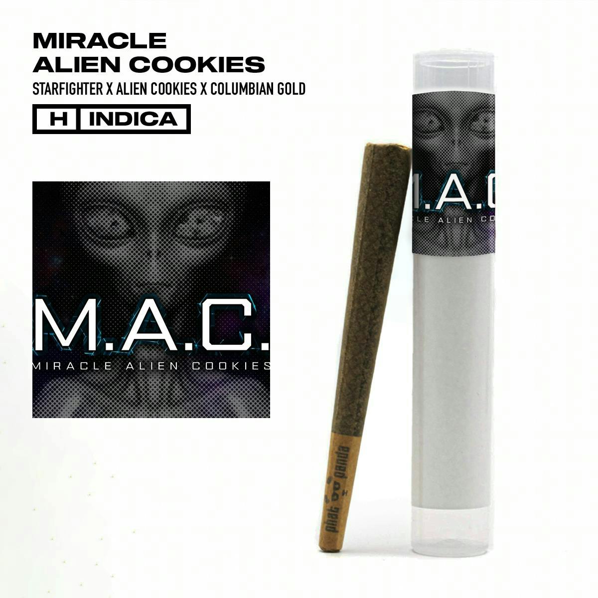 MAC - Preroll - WA 1 MAC - Preroll - WA
