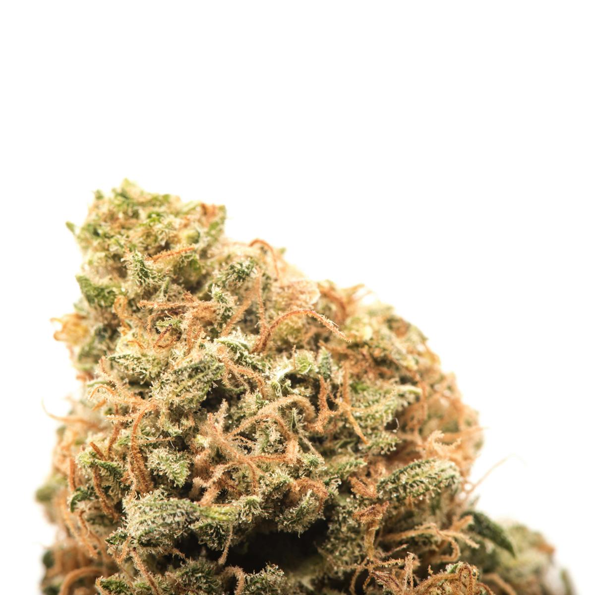 PSC | Aloha | Flower | 3.5G 3 PSC | Aloha | Flower | 3.5G