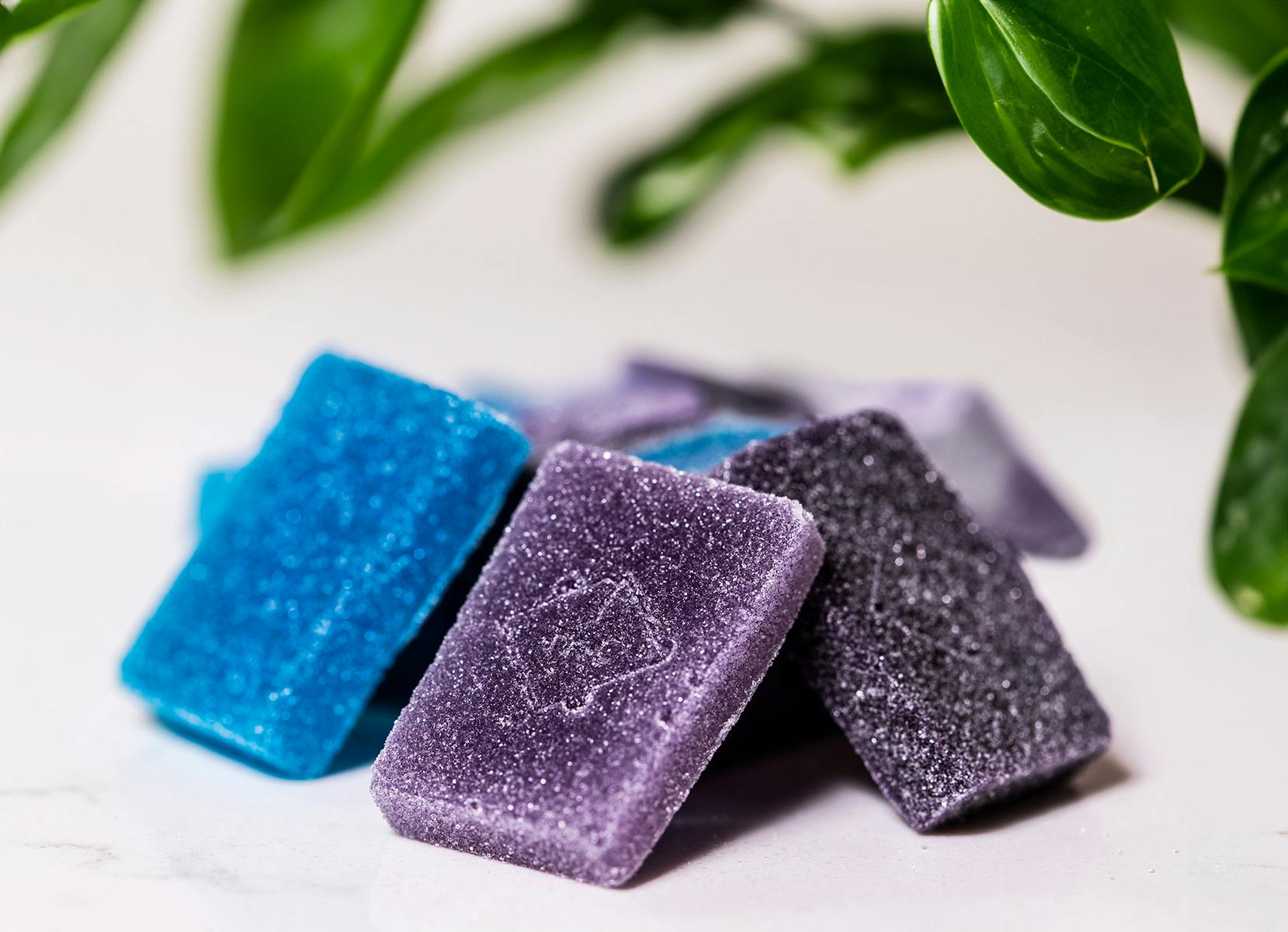 ROBHOTS Plus Gummies | Multipack Night Time (THC, CBN, Melatonin)